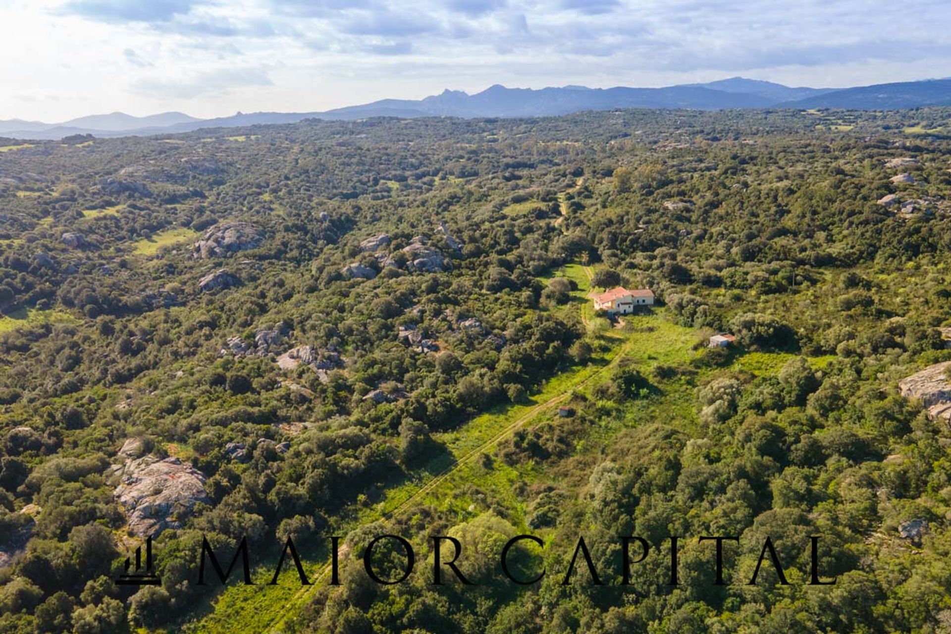 Tanah dalam Arzachena, Sardegna 11662728