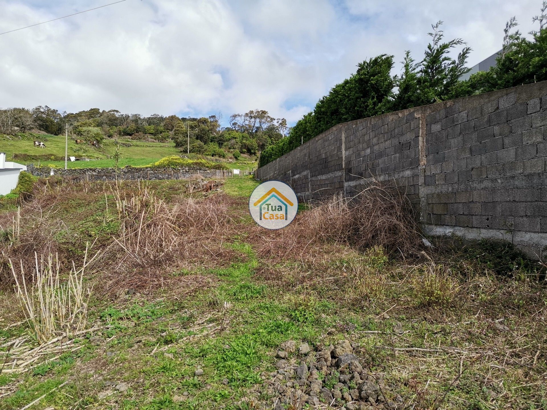 भूमि में Calheta, Azores 11662800