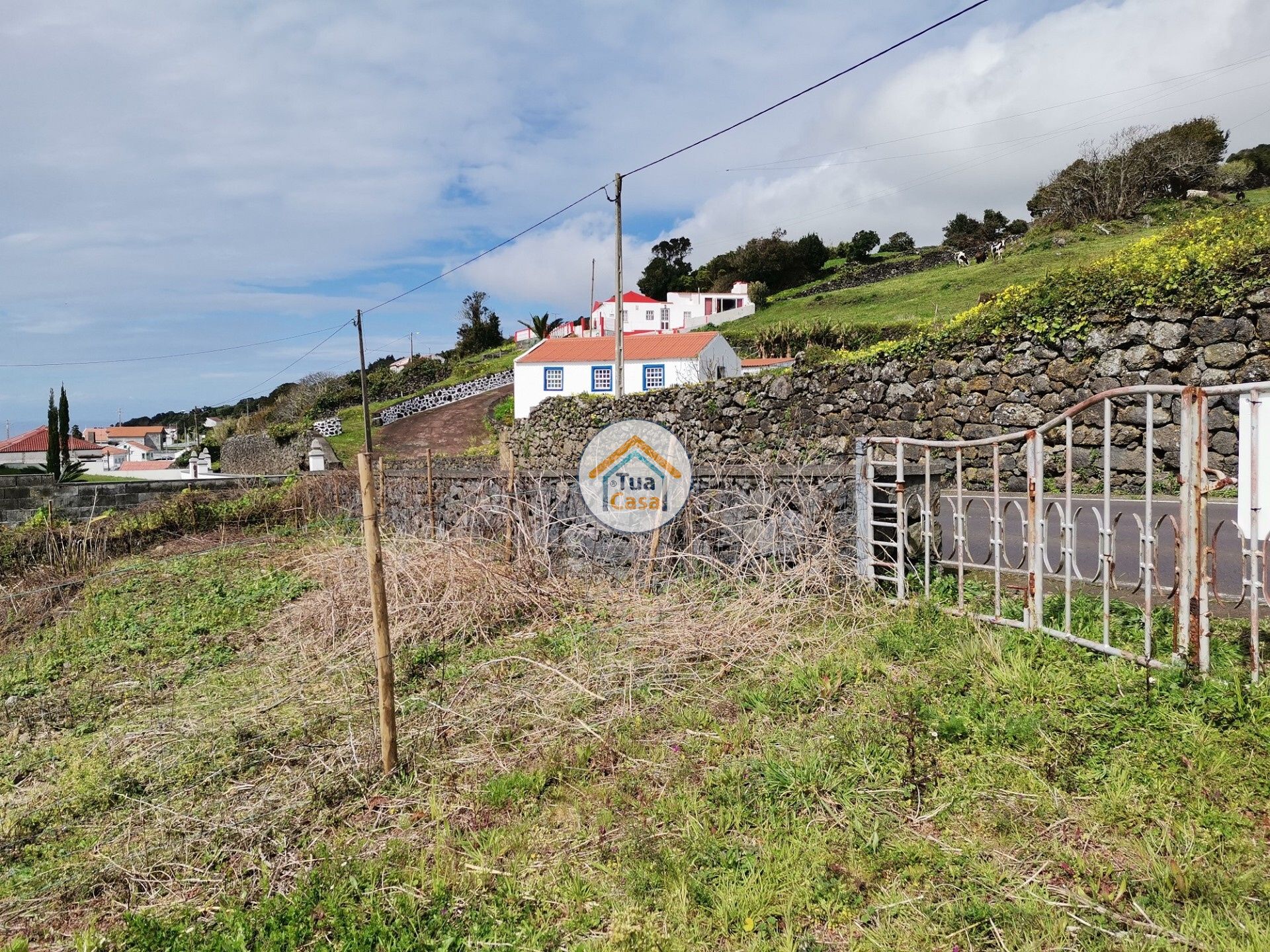 Tierra en Calheta, Azores 11662800