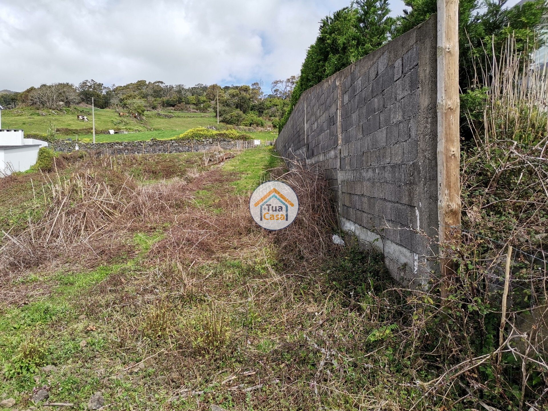 Tierra en Calheta, Azores 11662800