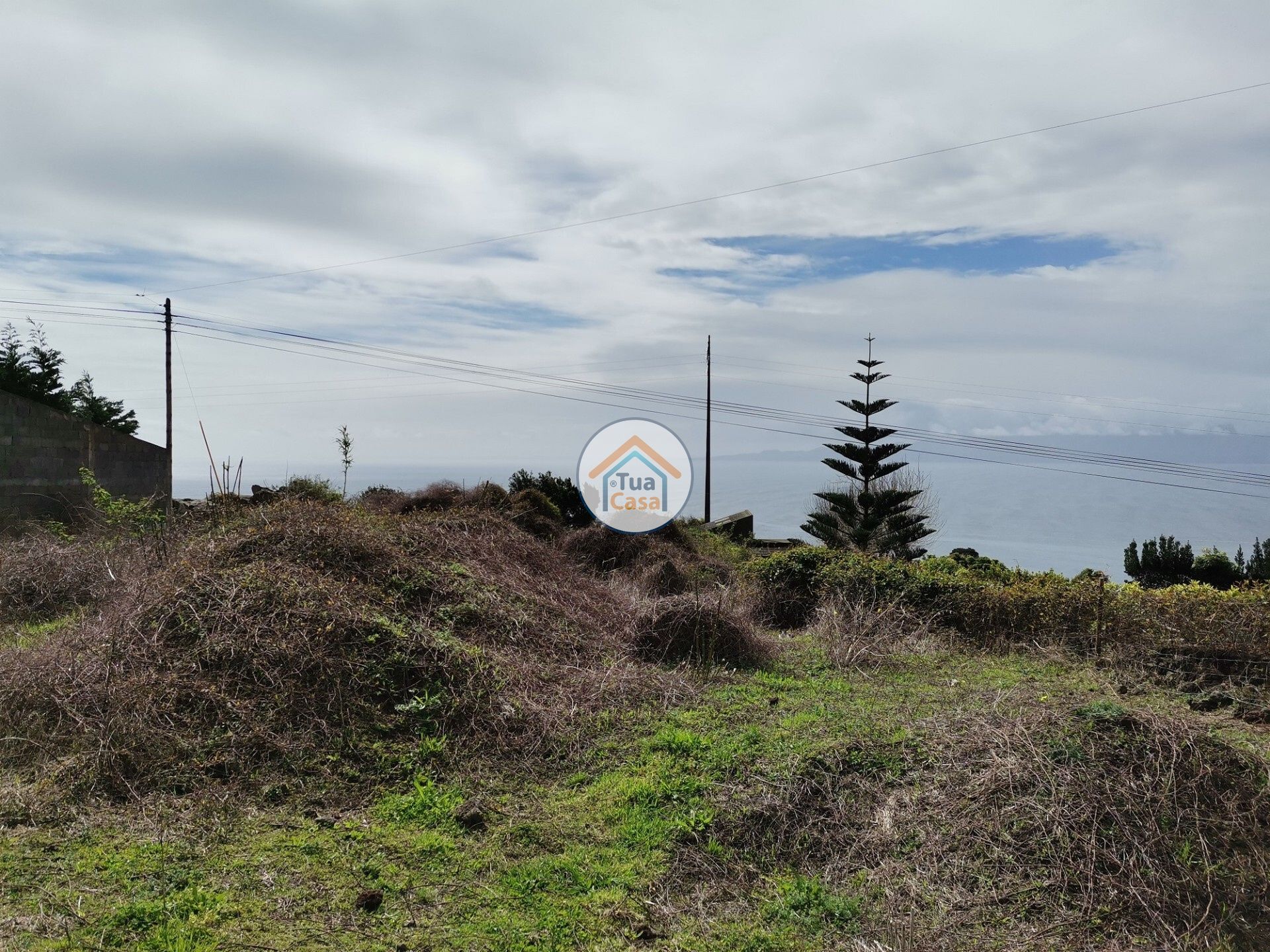 土地 在 Calheta, Azores 11662800