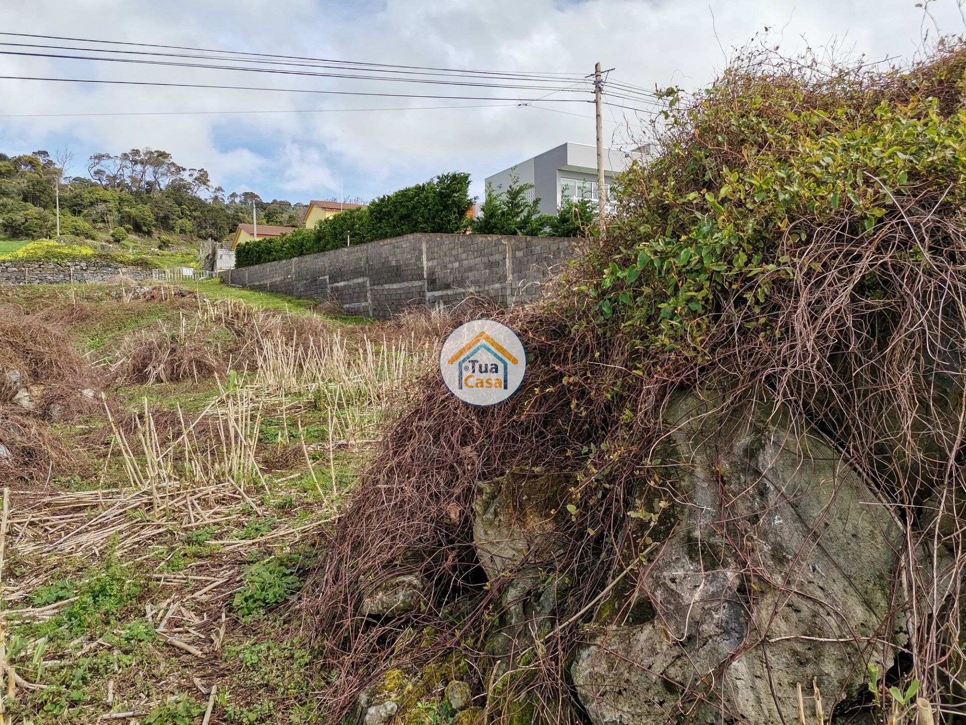 Tanah di Calheta, Azores 11662800