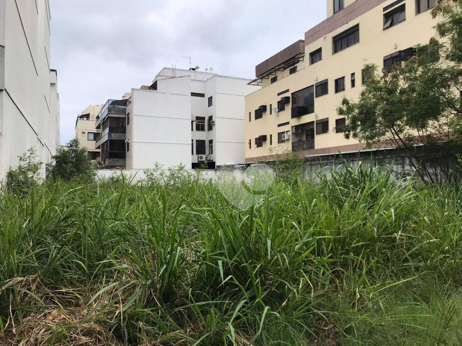 Land i Recreio dos Bandeirantes, Rio de Janeiro 11665575