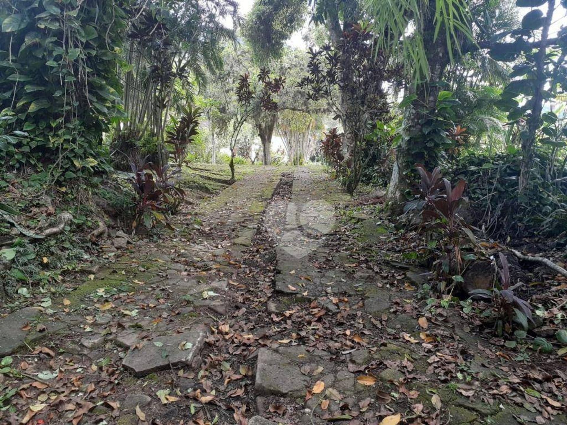 Tanah di Sitio Burle Marx, Rio de Janeiro 11667081