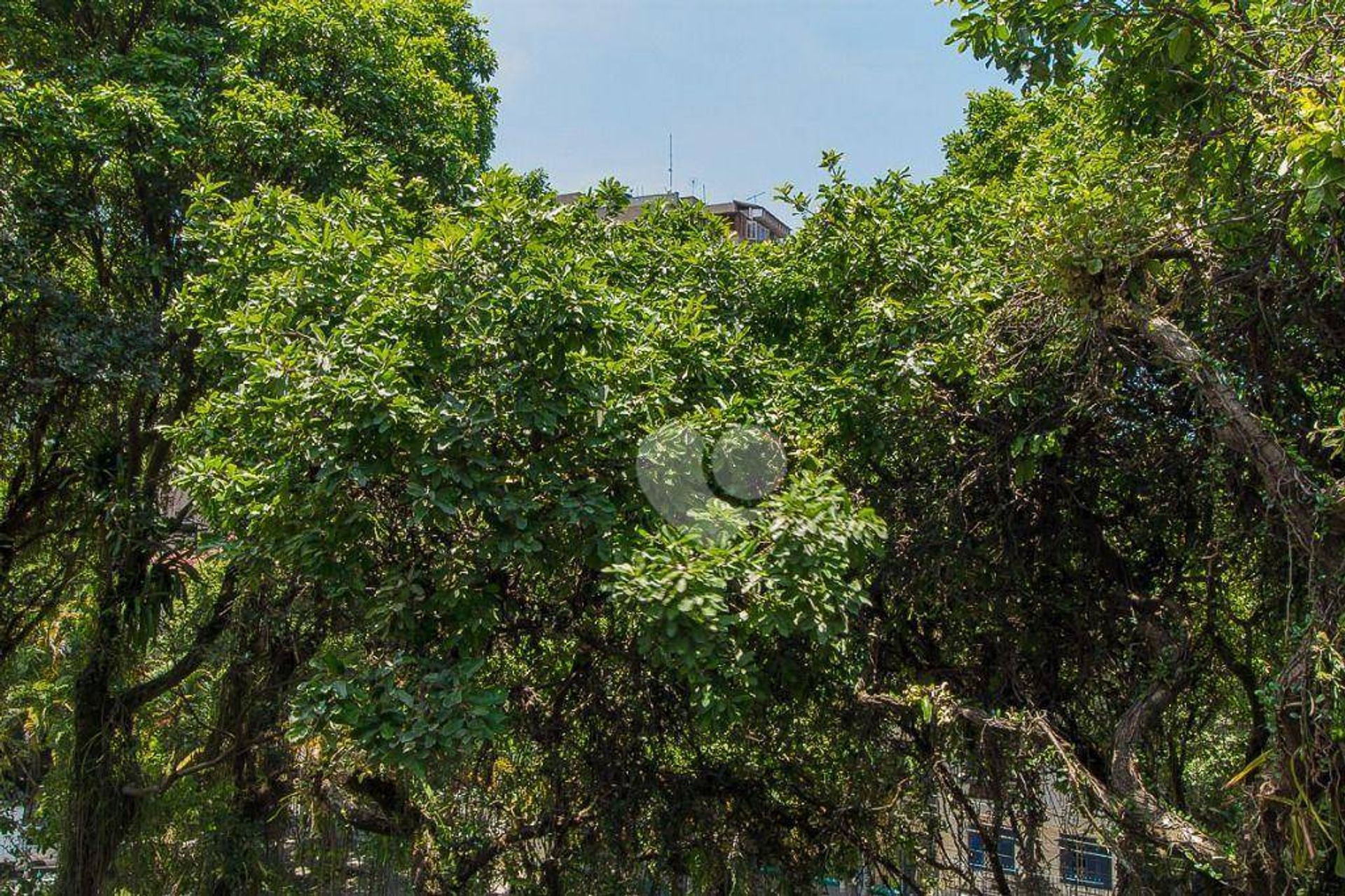 عمارات في , Rio de Janeiro 11667494