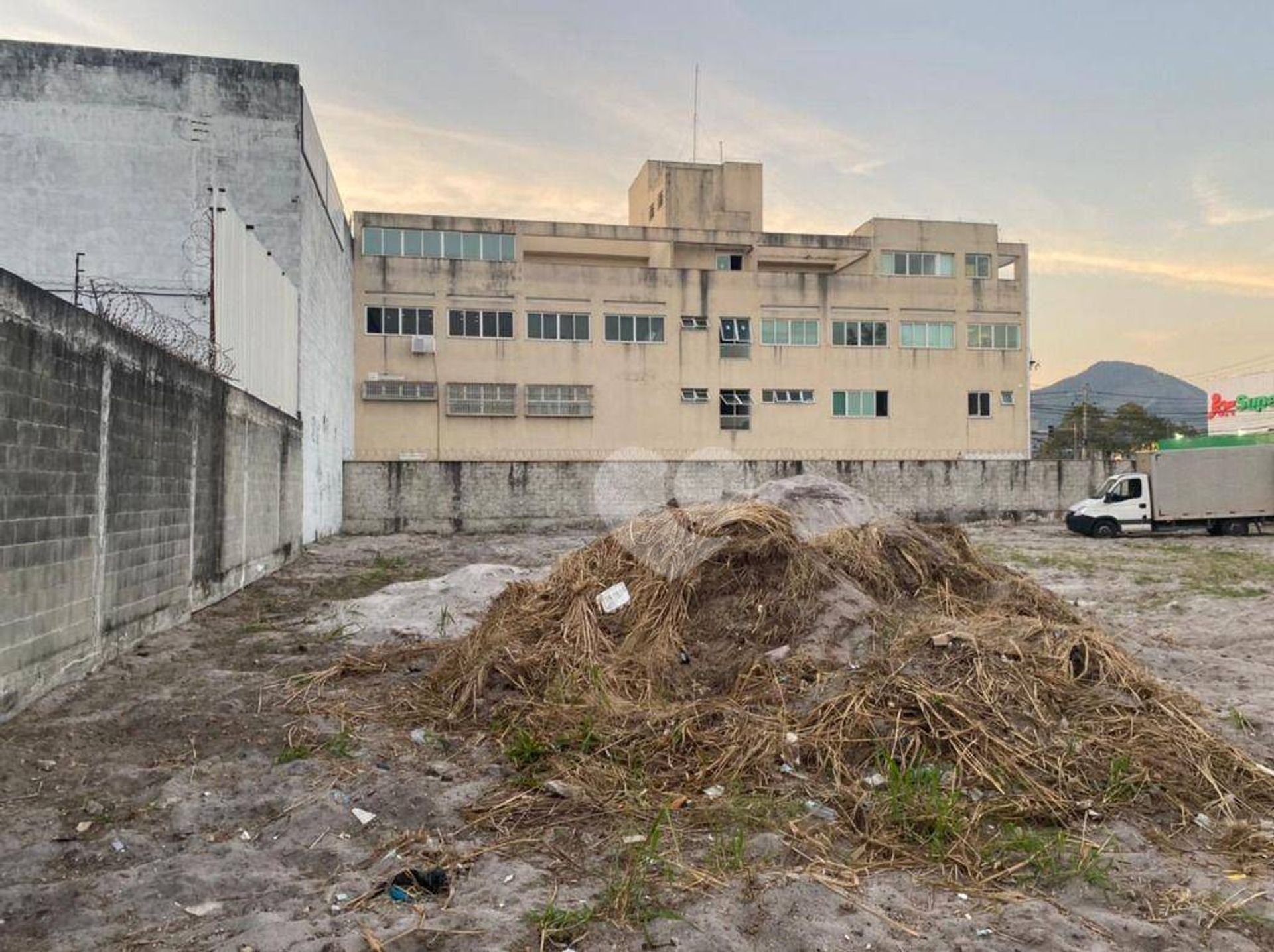 Terre dans Restinga de Itapeba, Rio de Janeiro 11667881