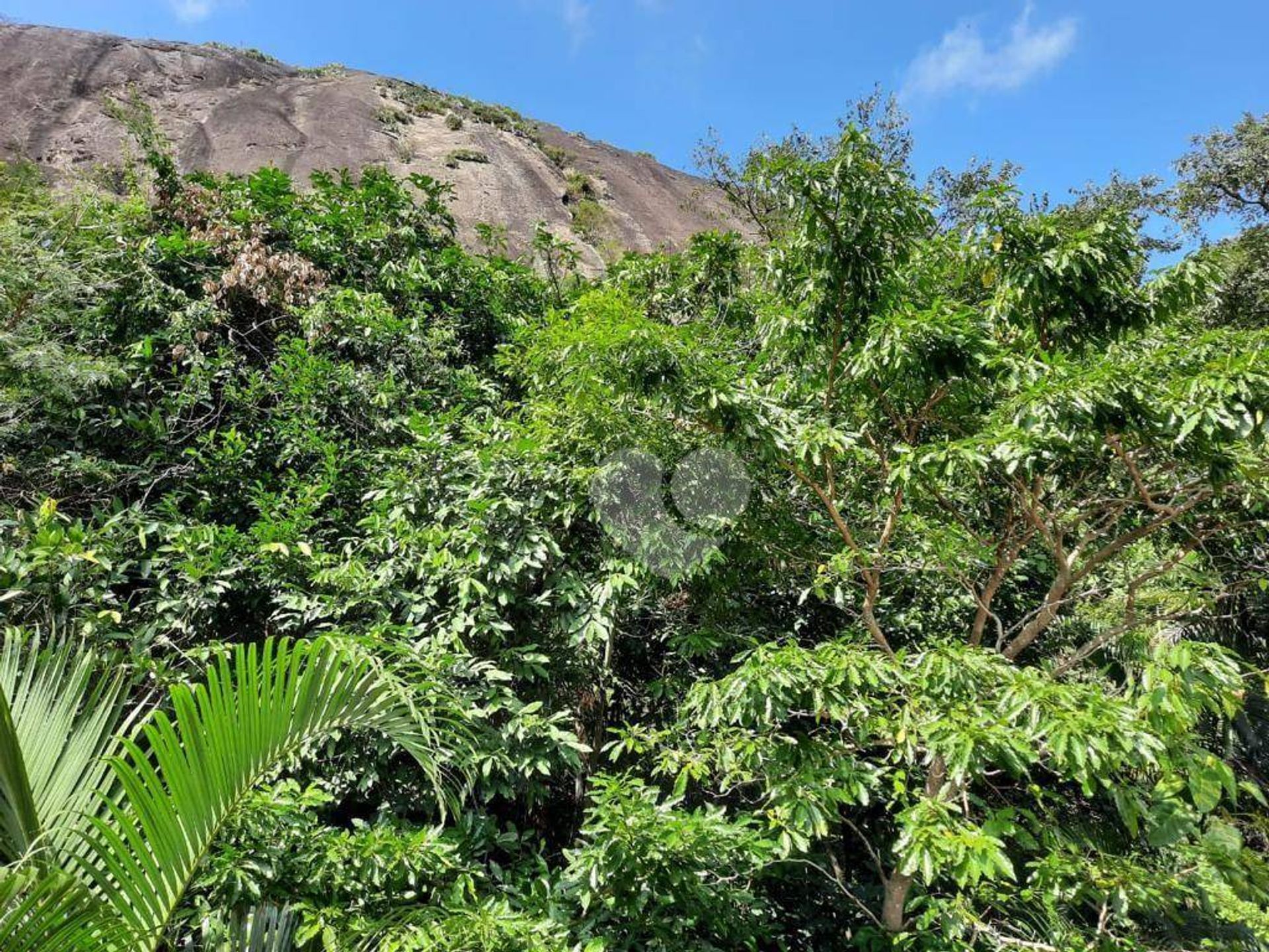 Kondominium di , Rio de Janeiro 11668210