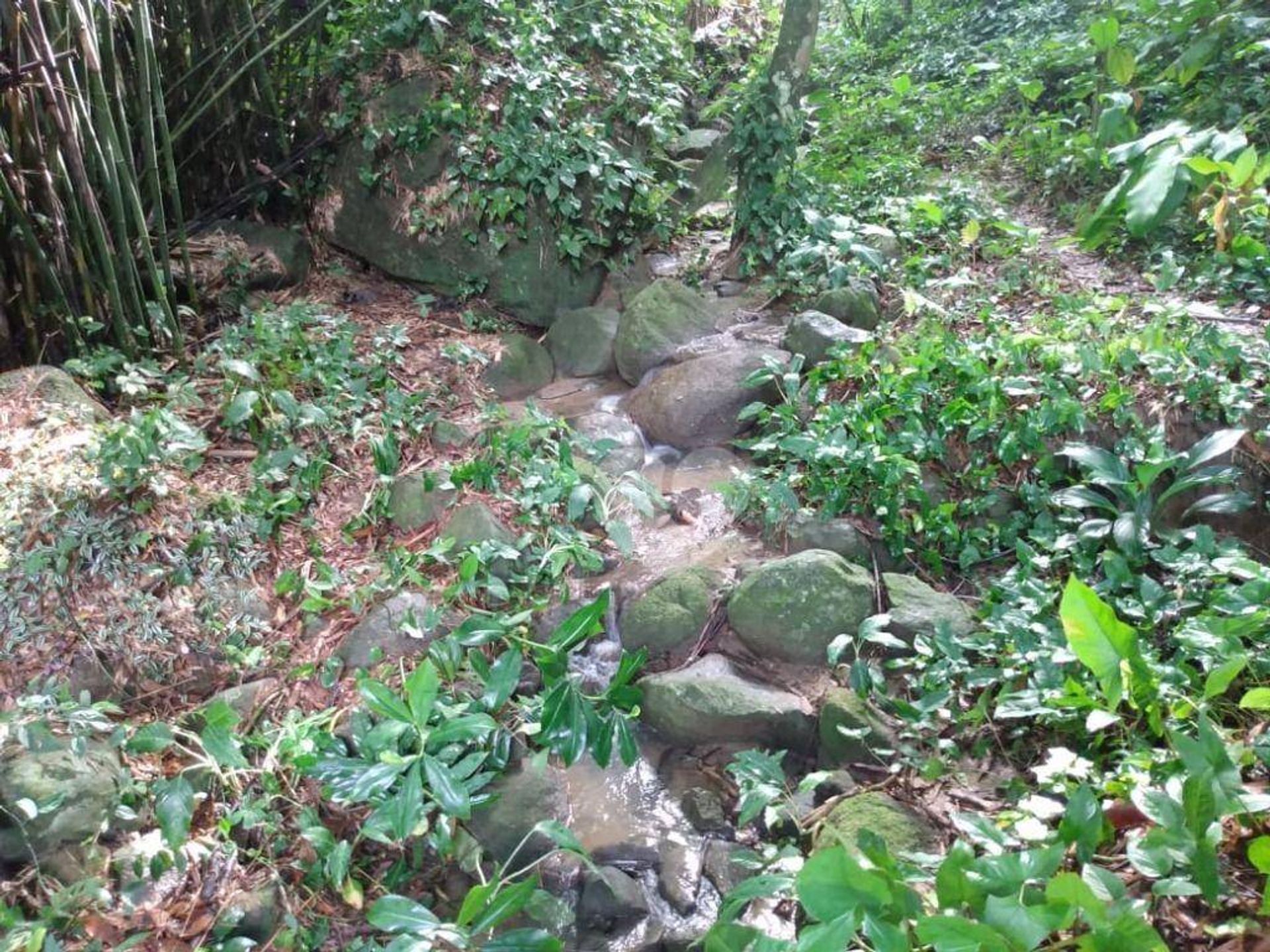 土地 在 , Rio de Janeiro 11668259