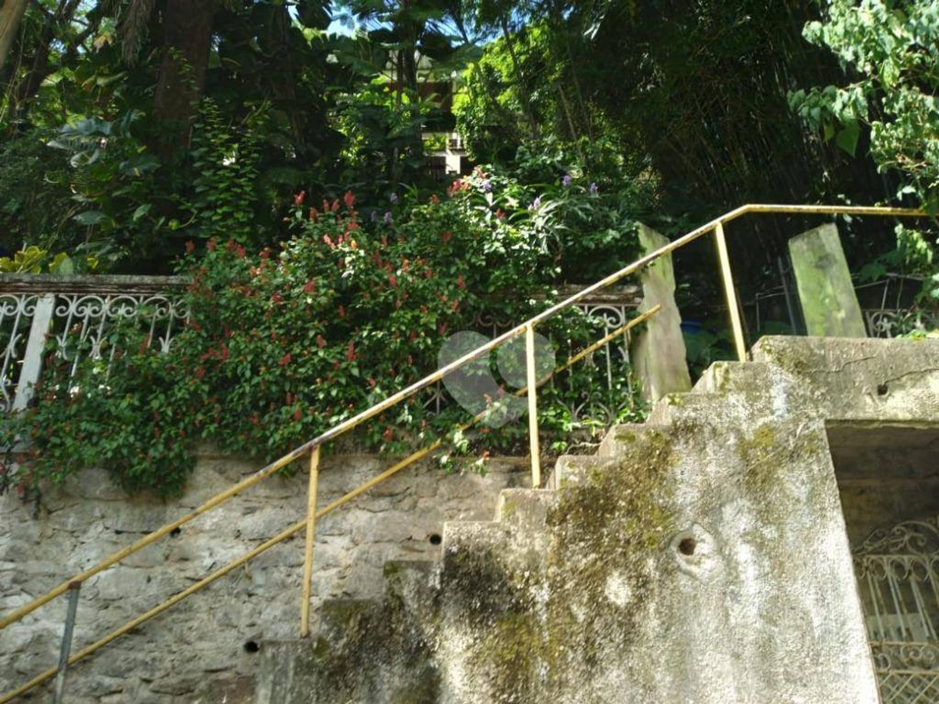 Tierra en , Rio de Janeiro 11668291