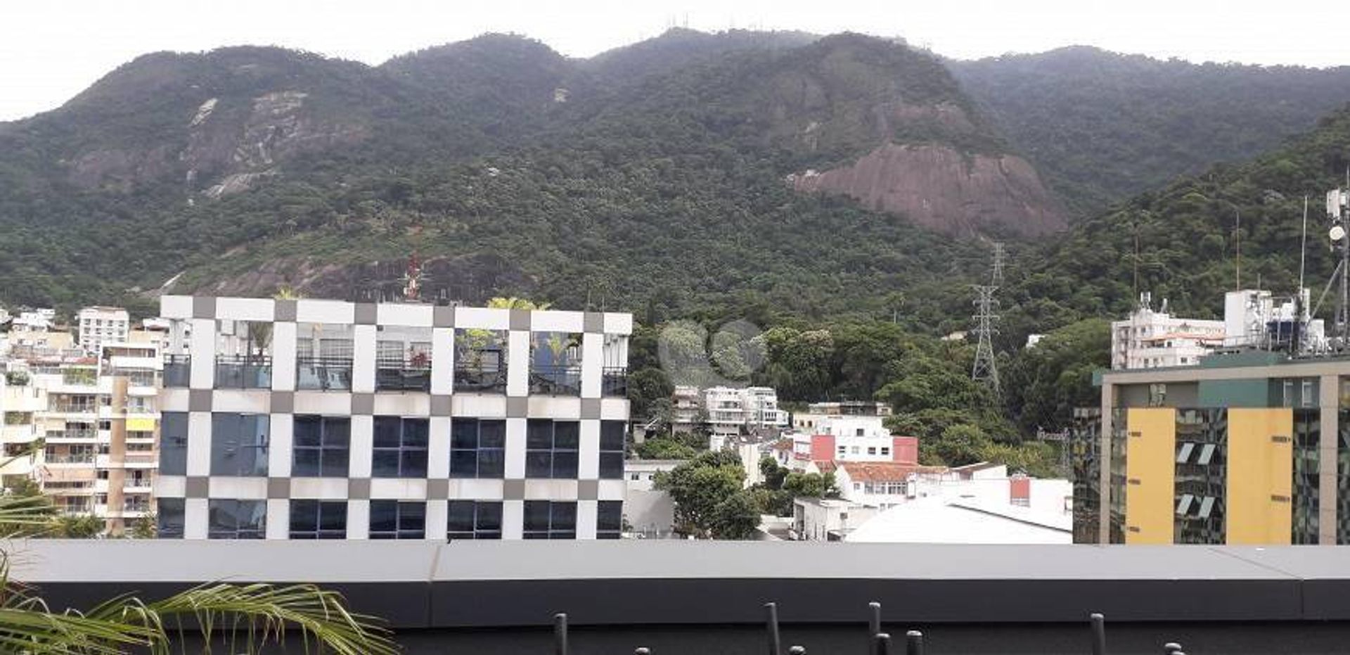 Détail dans Jardin Botanique, Rio de Janeiro 11668514