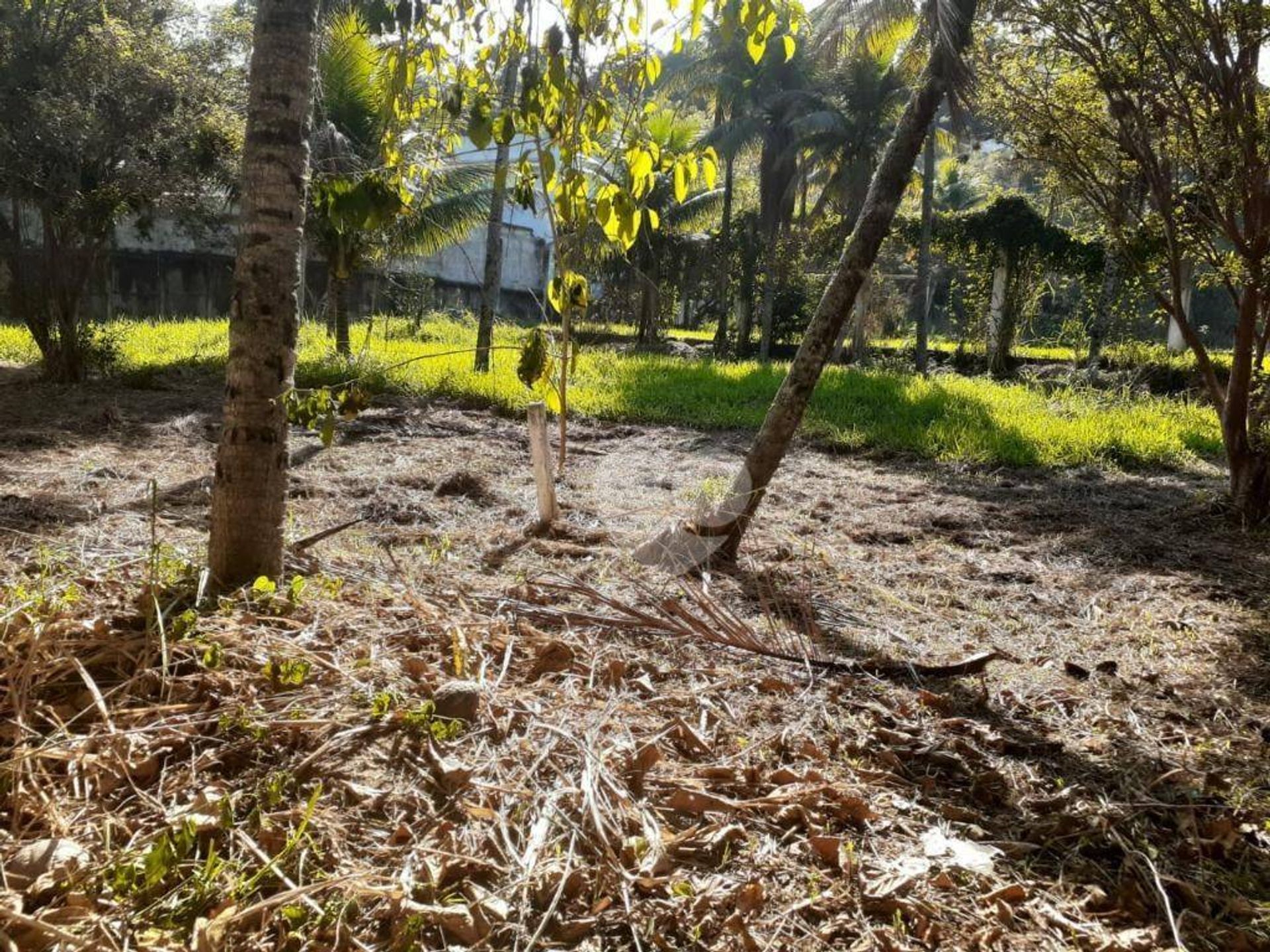 Land in Pedra de Guaratiba, Rio de Janeiro 11668706