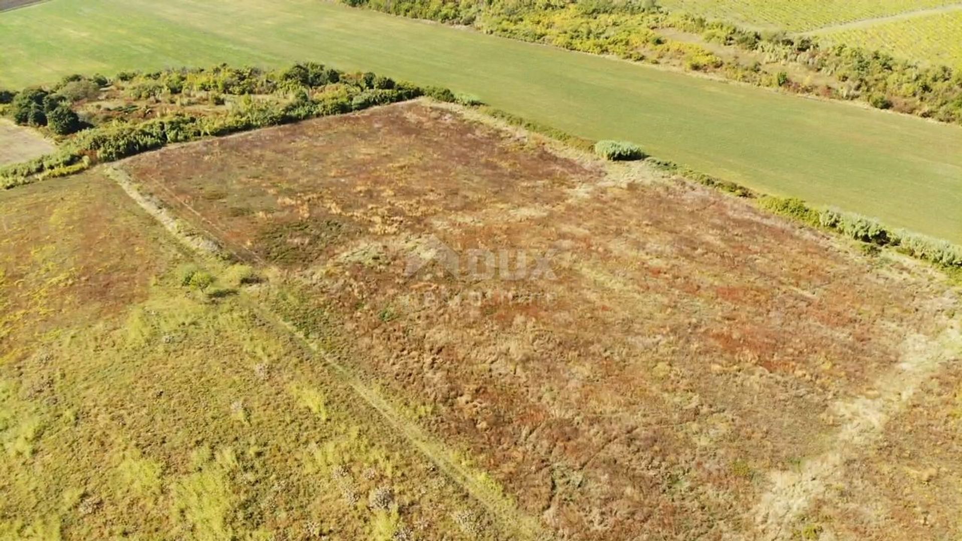 Земля в Бує, Істарська жупанія 11669469