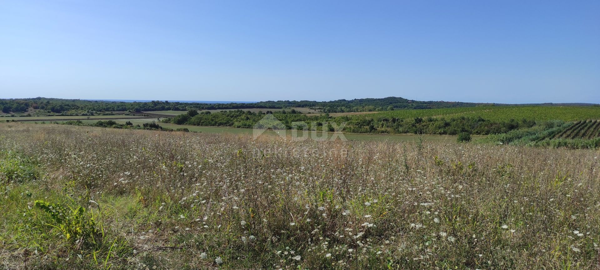 Land im Buje, Istria County 11669469