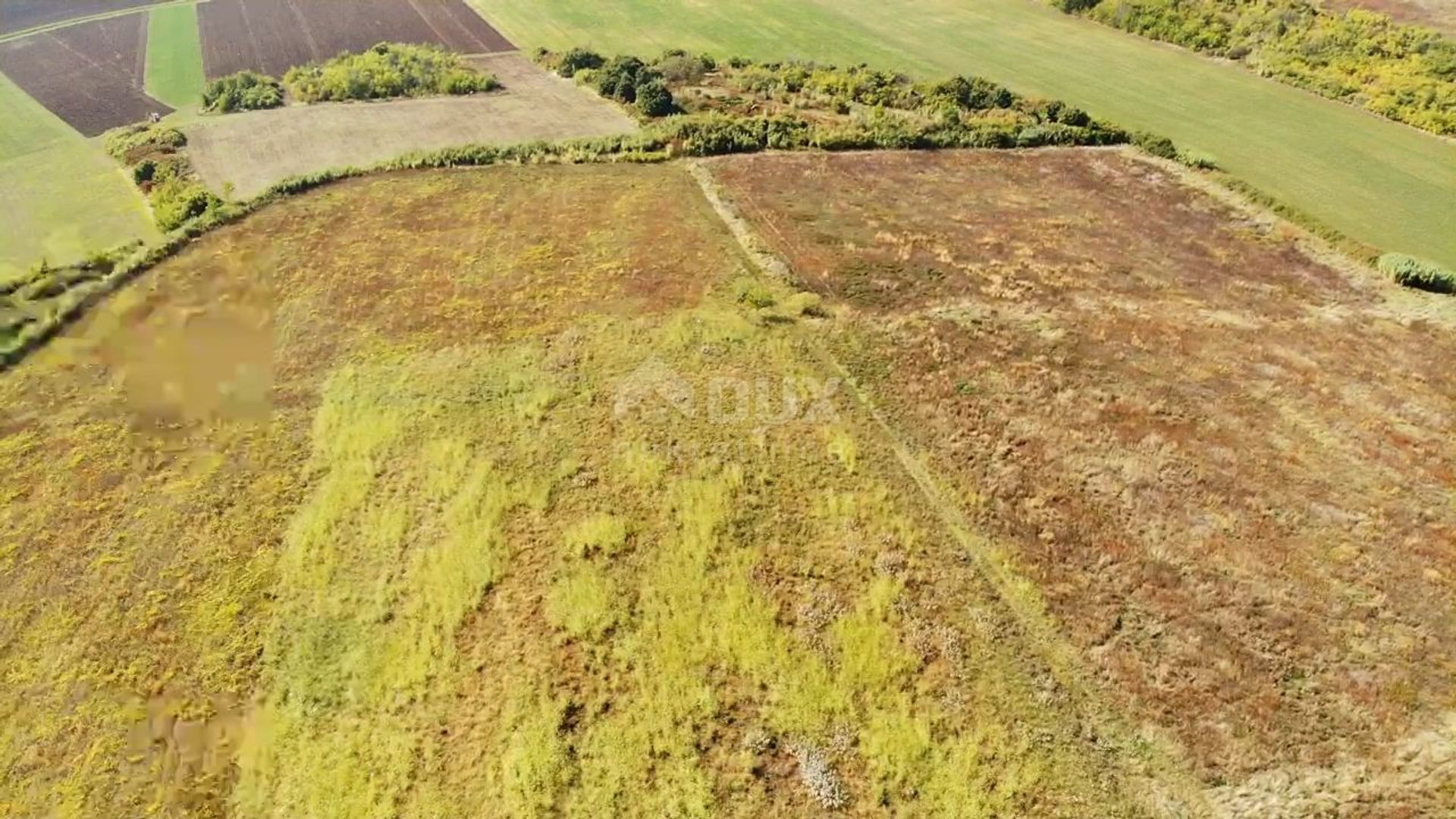 Land im Buje, Istarska Zupanija 11669470