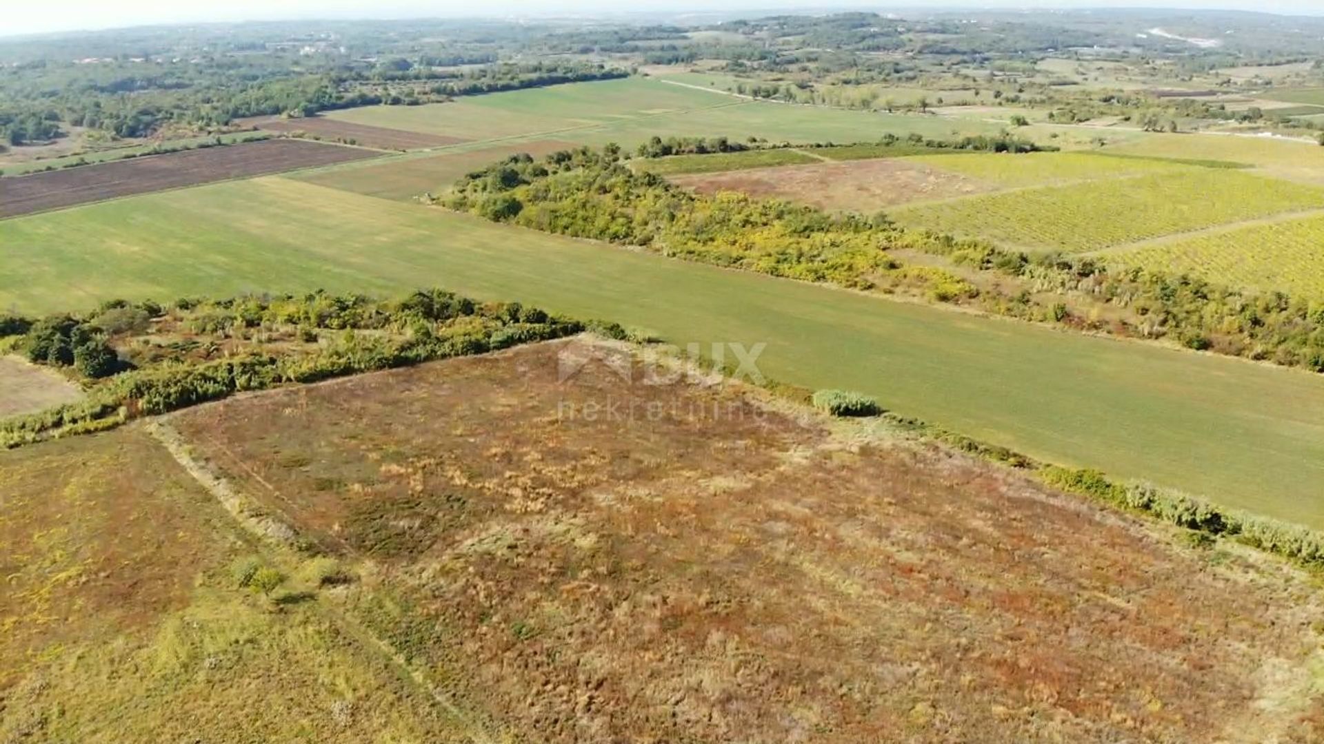 Land i Buje, Istarska Zupanija 11669470