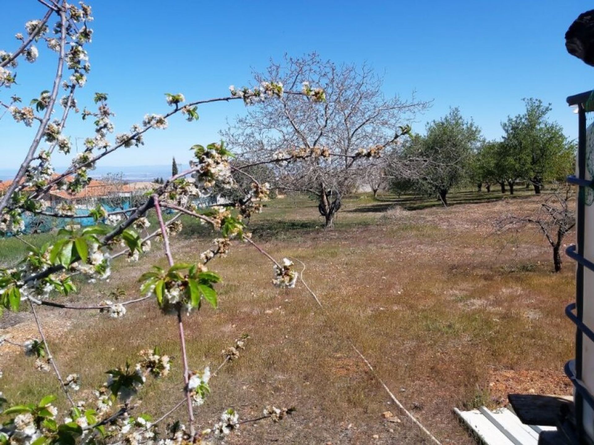 Terra no Mancha Real, Andalucía 11669846