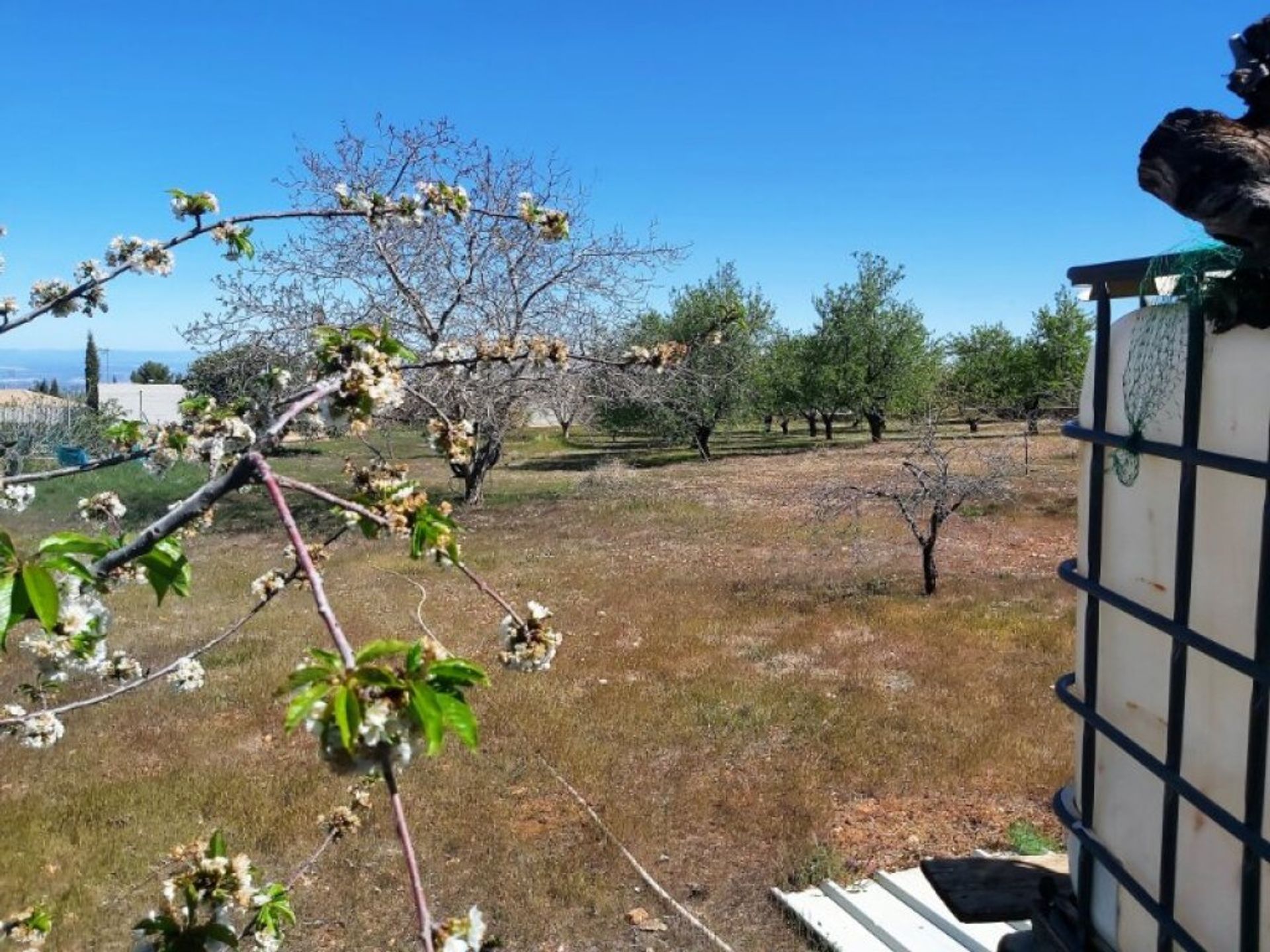 Terra no Mancha Real, Andalucía 11669846