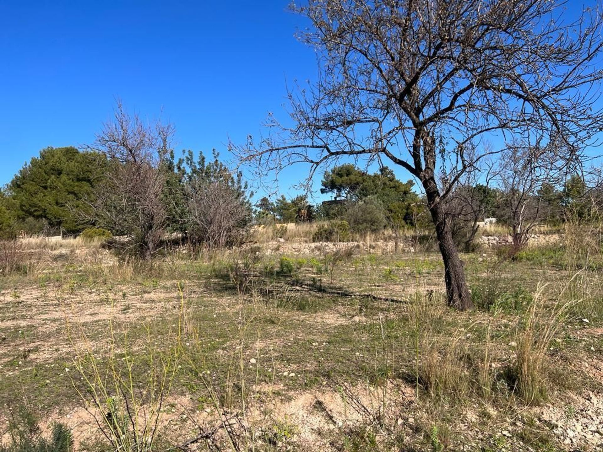 Land in Torrente, Valencia 11669866