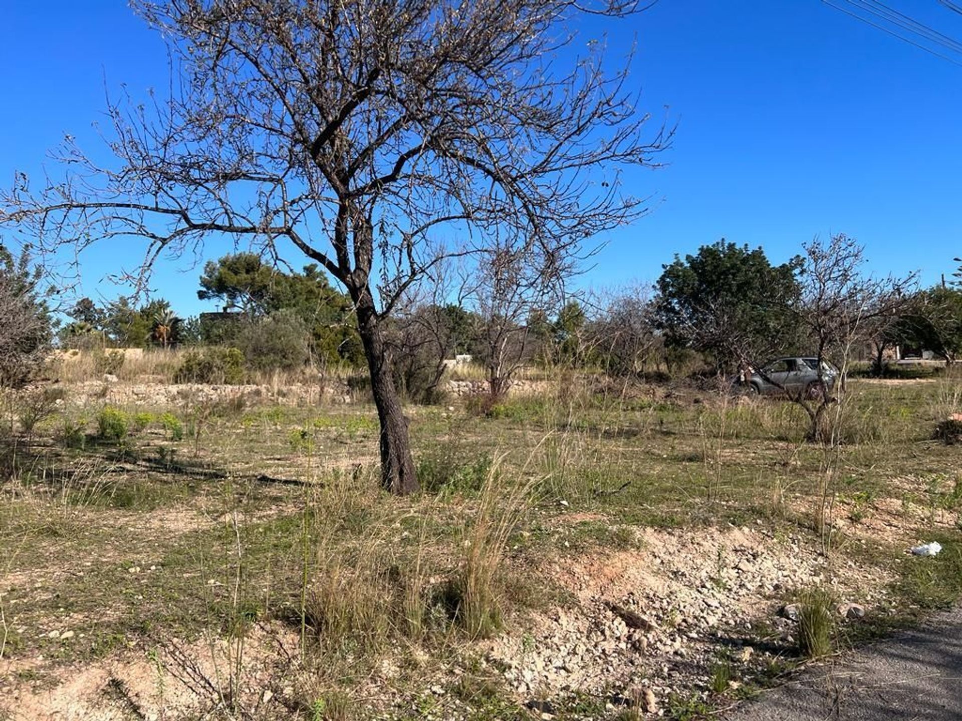 Land in Torrente, Valencia 11669866