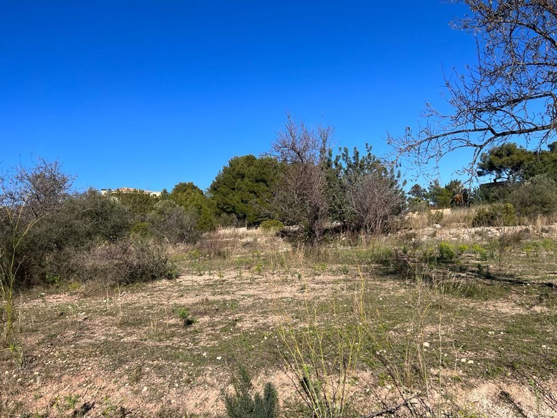 Land in Torrente, Valencia 11669866