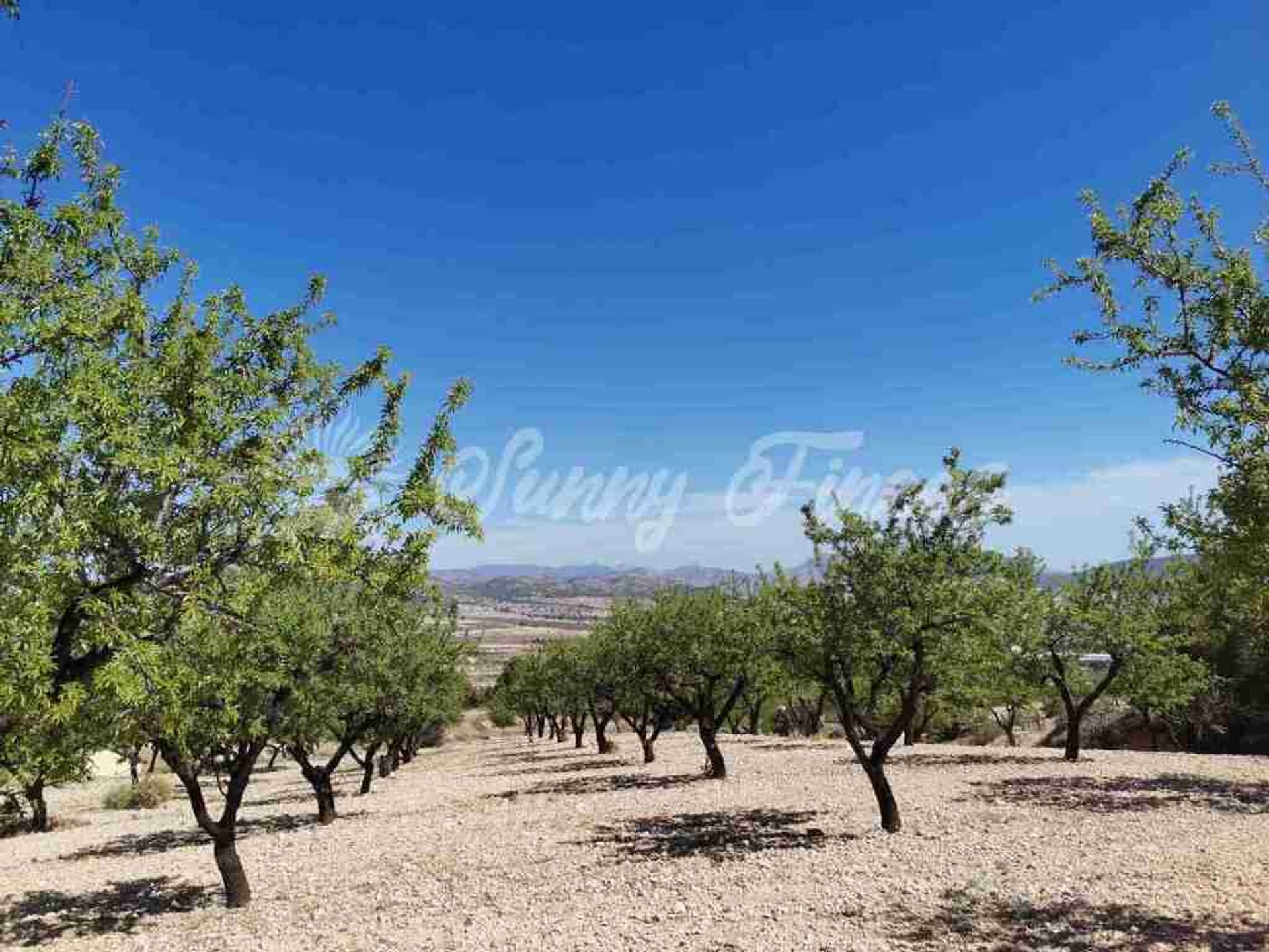 بيت في Salinas, Comunidad Valenciana 11669872