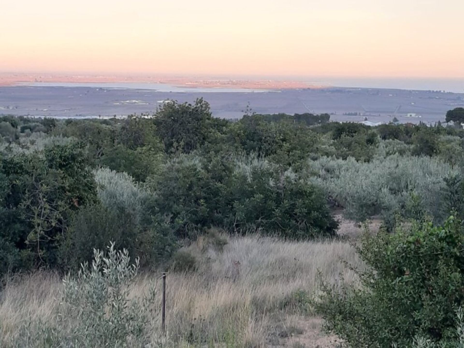 Land im La Ràpita, Catalunya 11670834