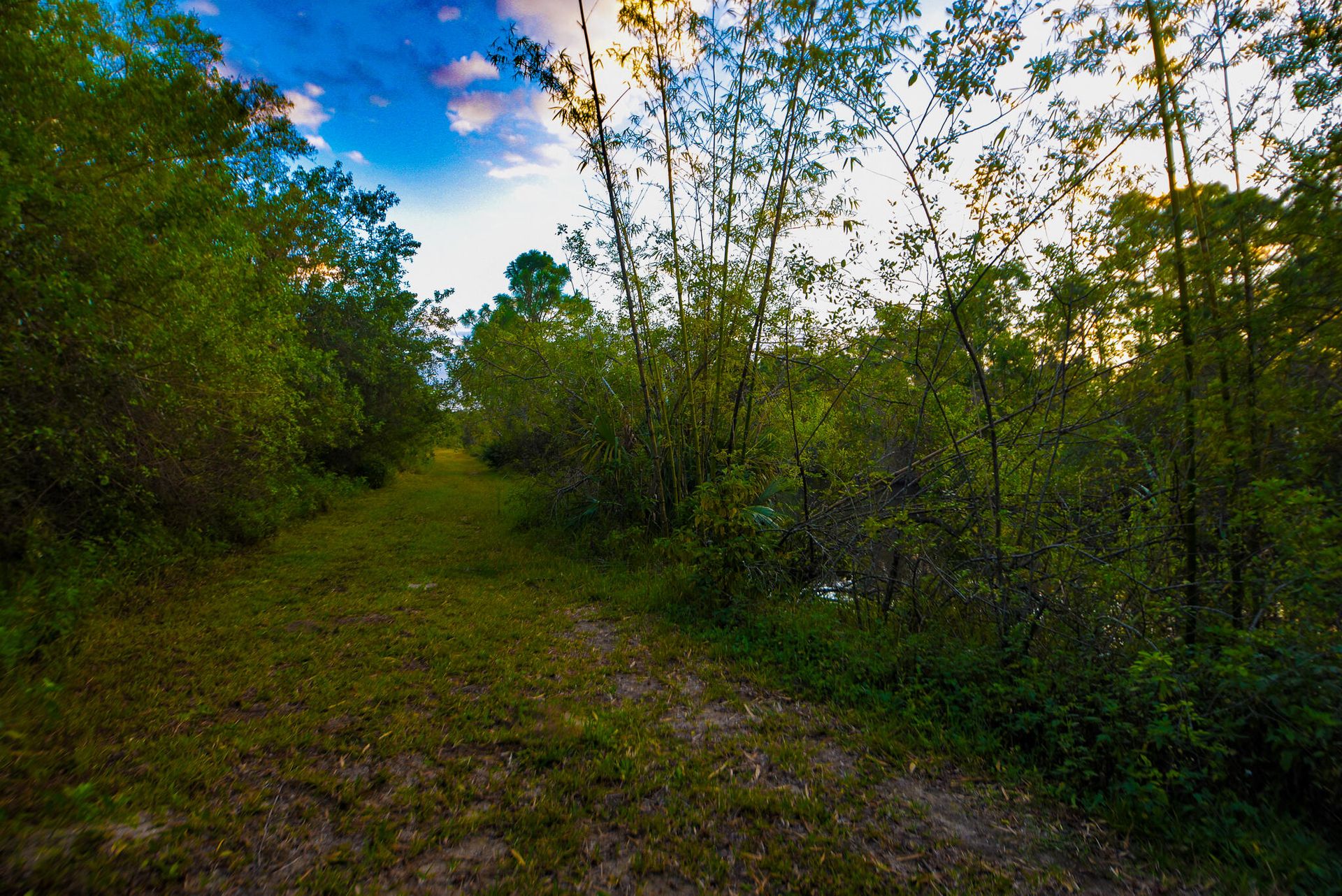 rumah dalam Fort Pierce, Florida 11671159