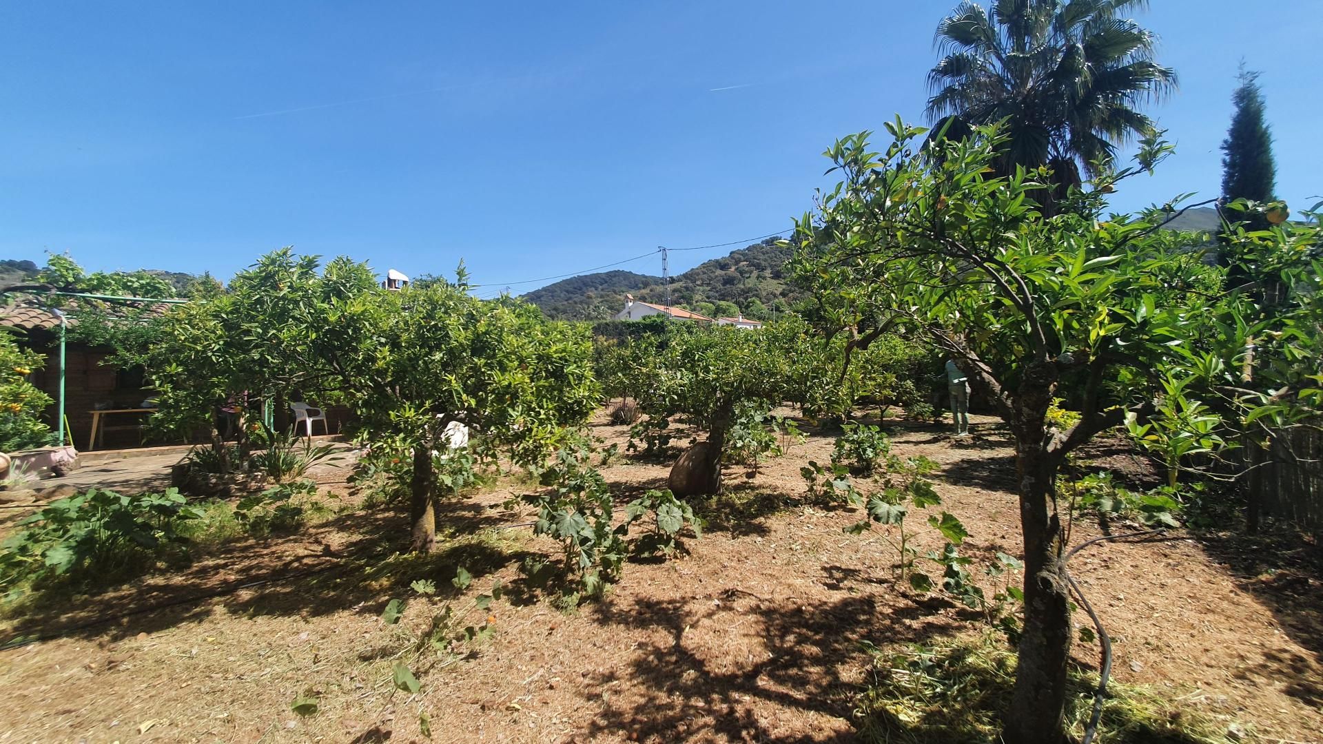 Rumah di Monda, Andalucía 11679593