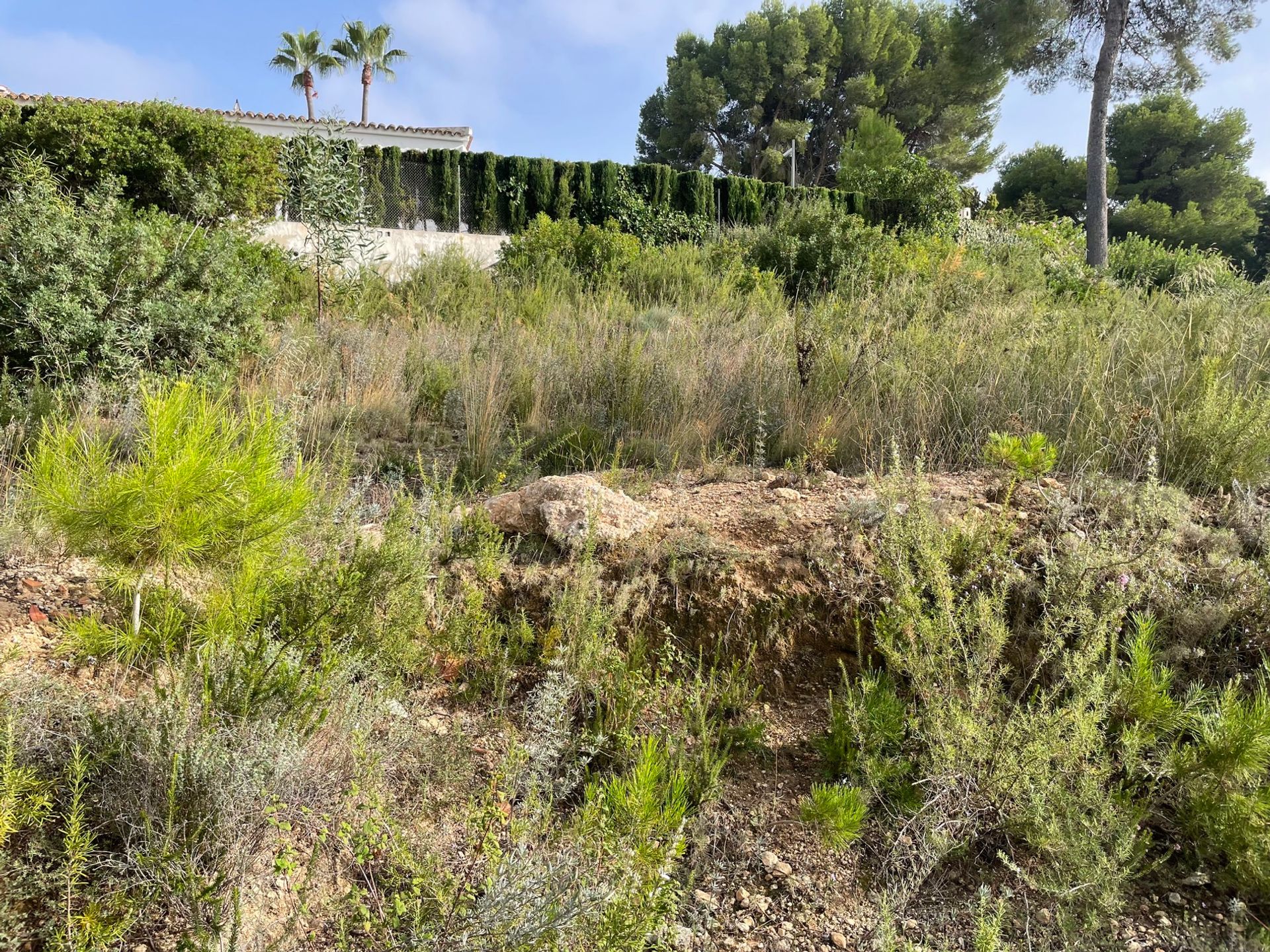 Talo sisään Morayra, Canary Islands 11680450