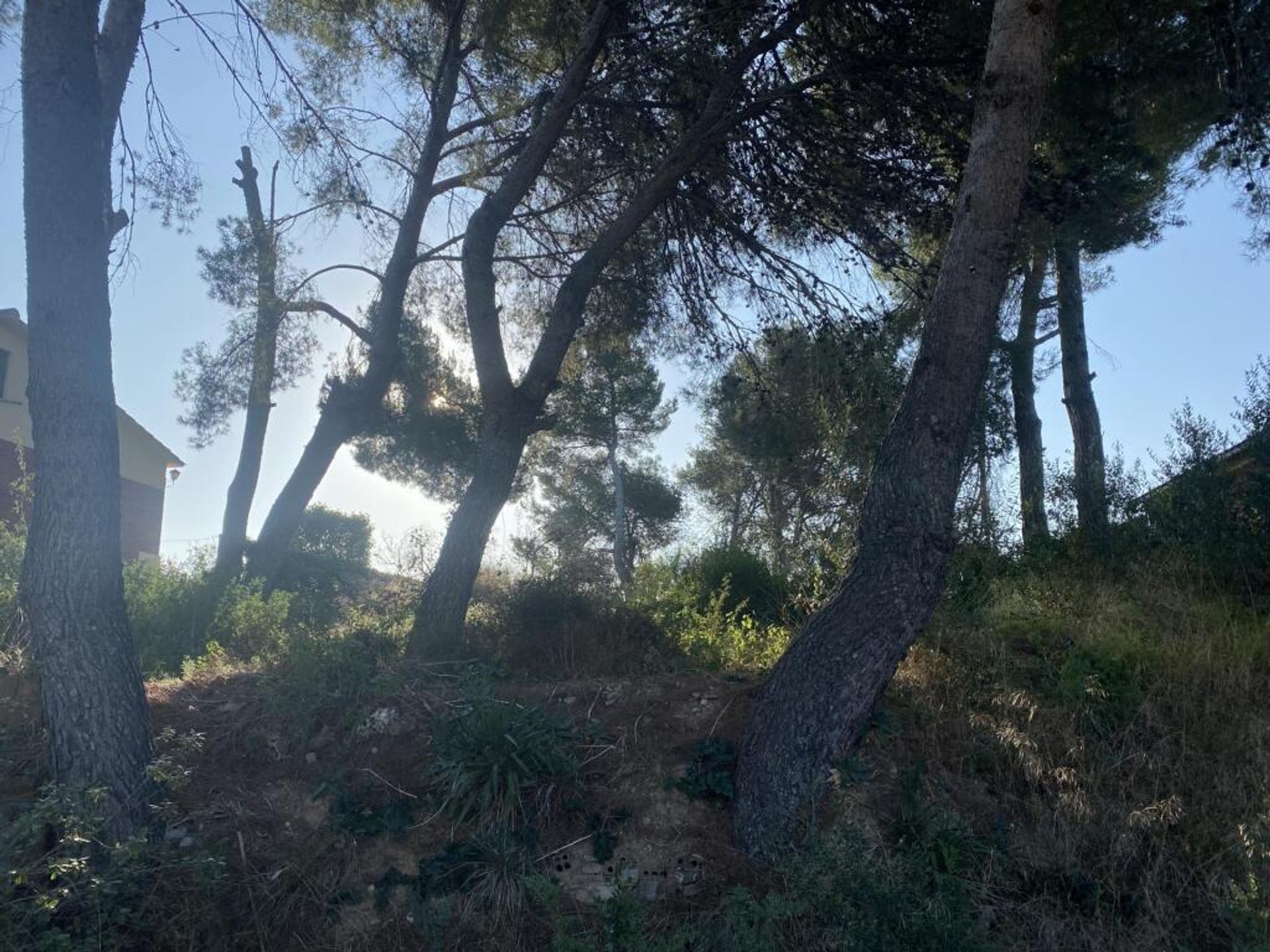 casa en Esparraguera, Catalonia 11680800