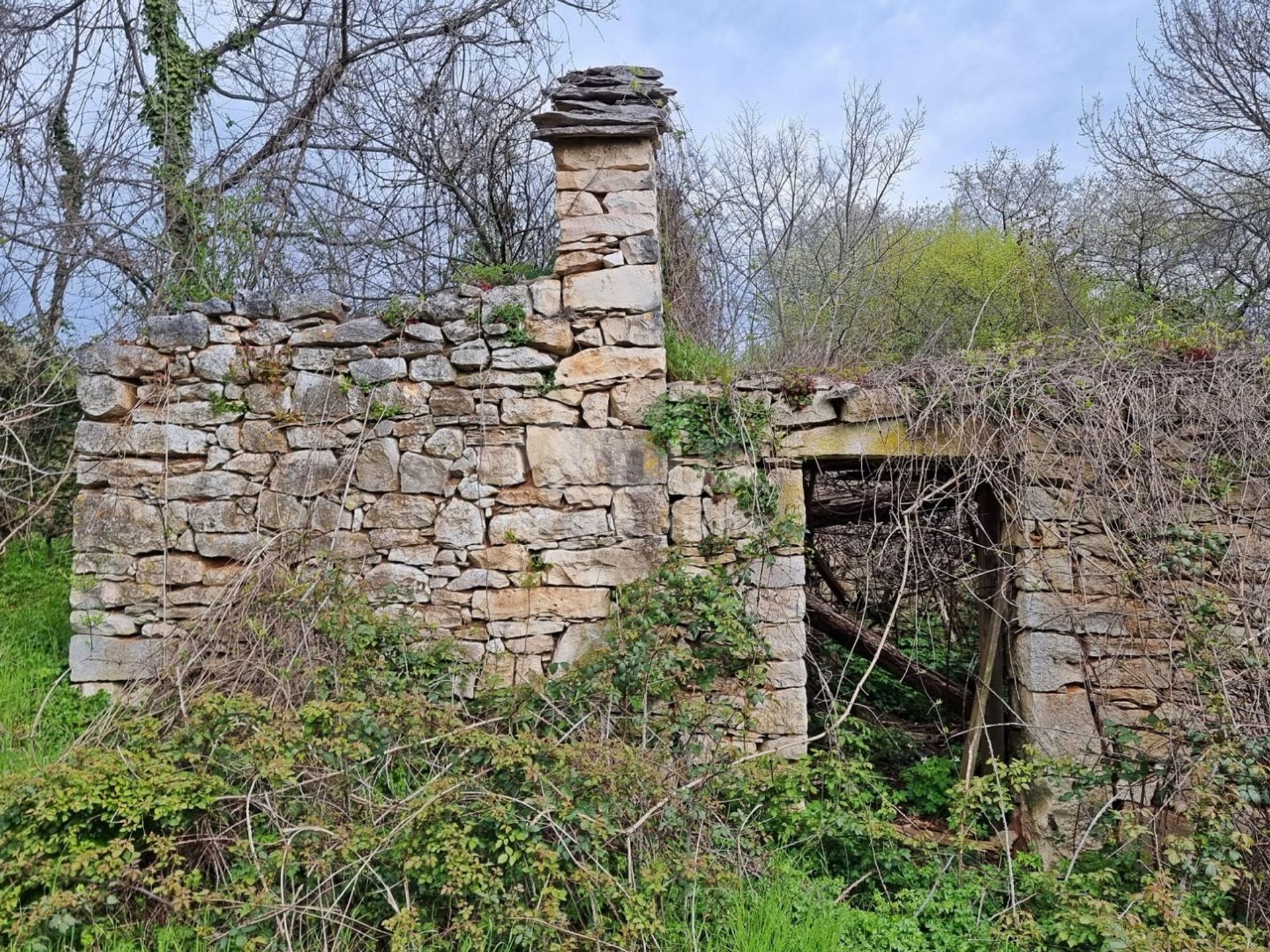 rumah dalam Labin, Istria County 11681964