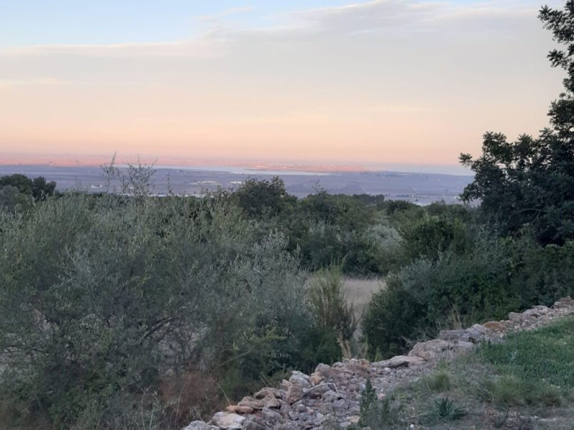 Tierra en San Carlos de la Rapita, Catalonia 11683302