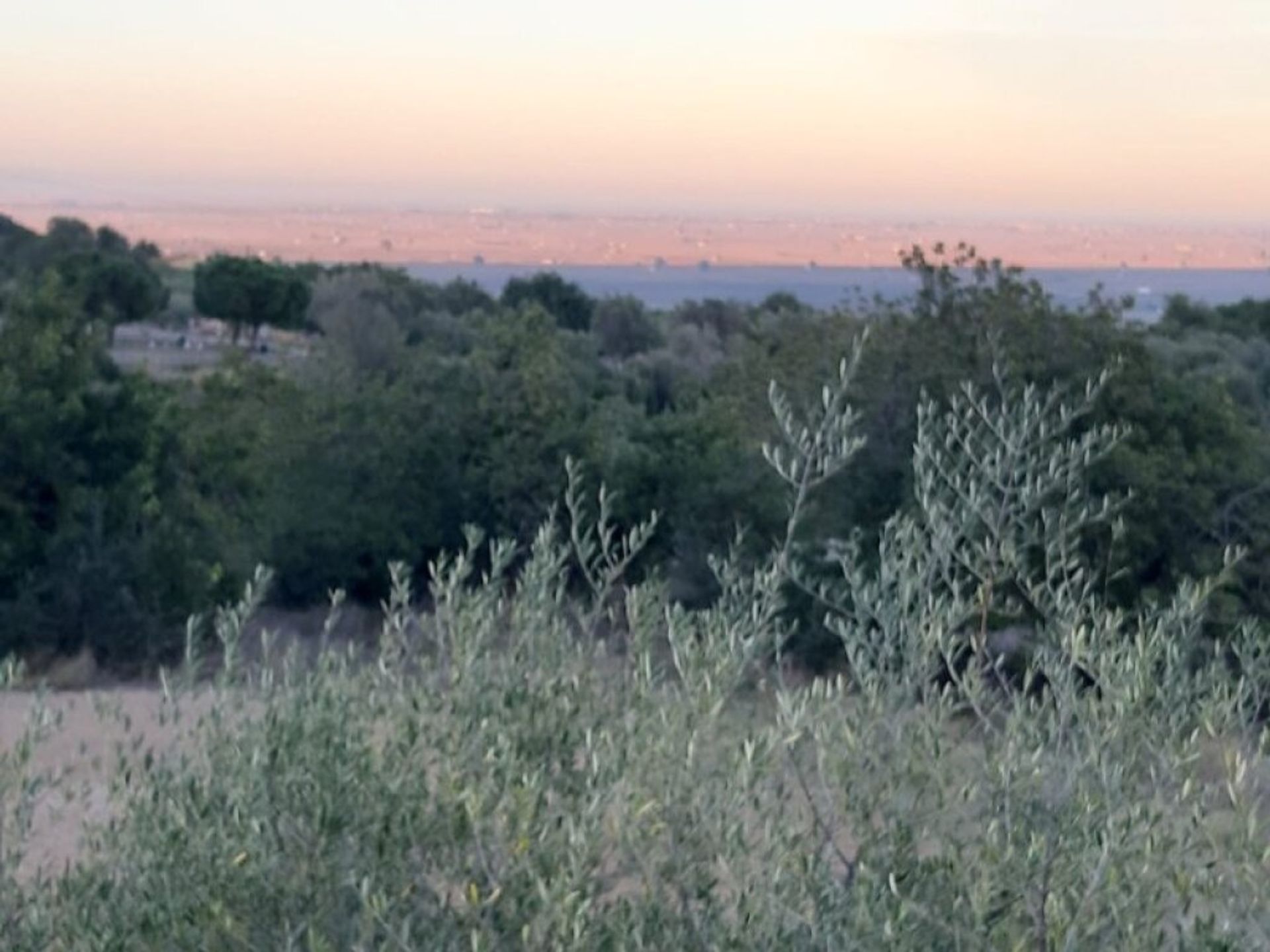 Tierra en San Carlos de la Rapita, Catalonia 11683302