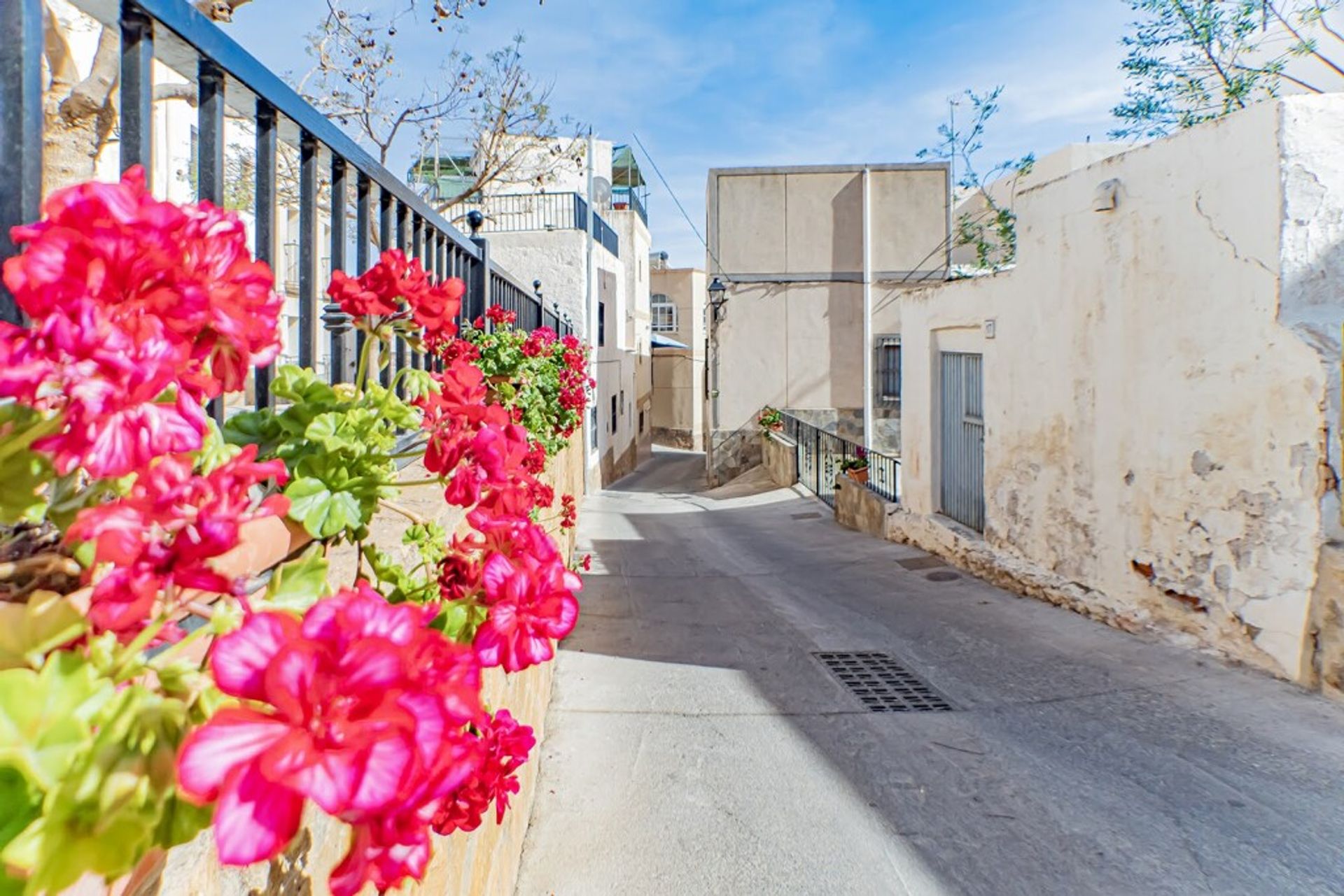 Borettslag i Felix, Andalucía 11683315