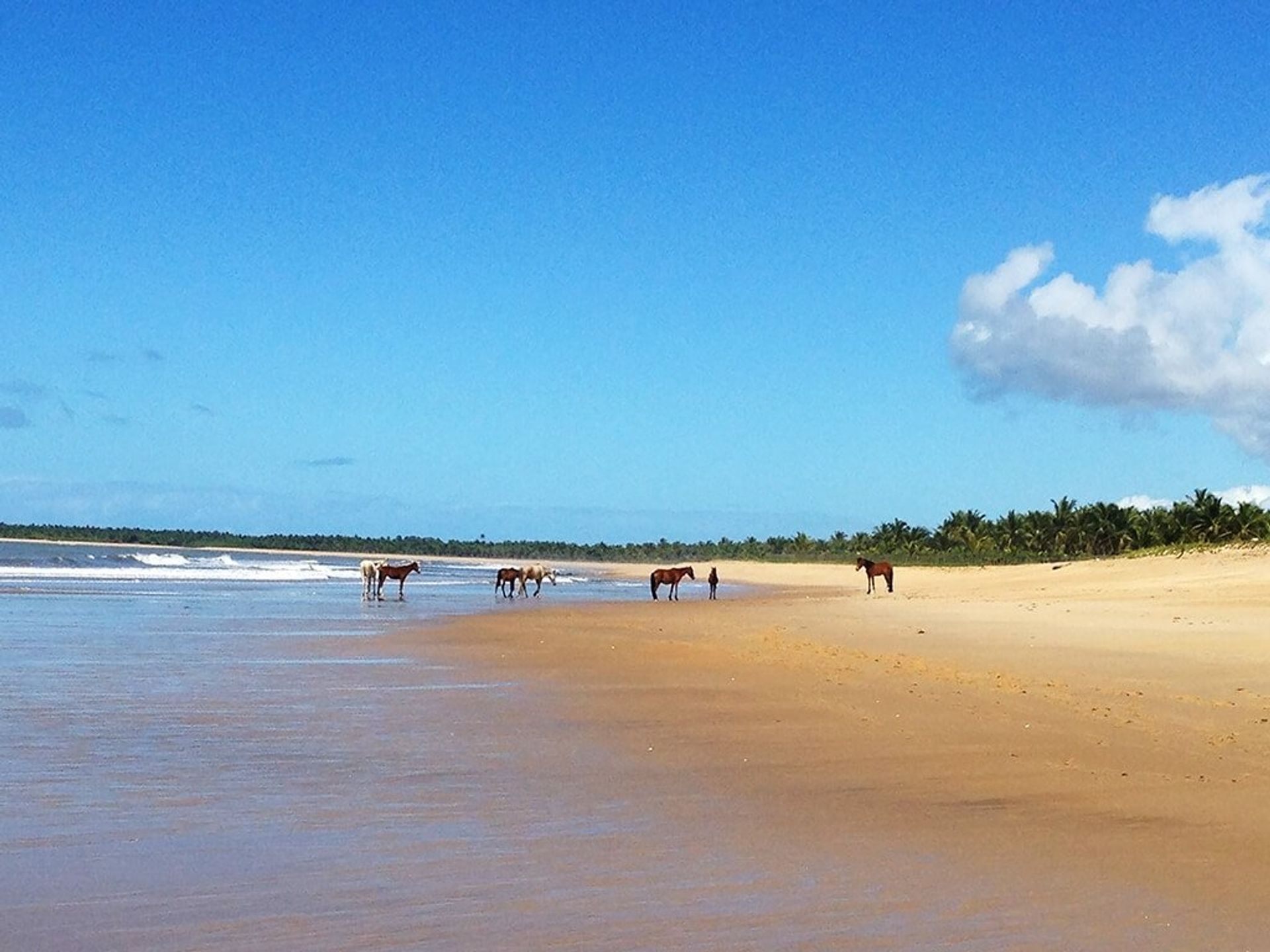 жилой дом в , State of Bahia 11687456