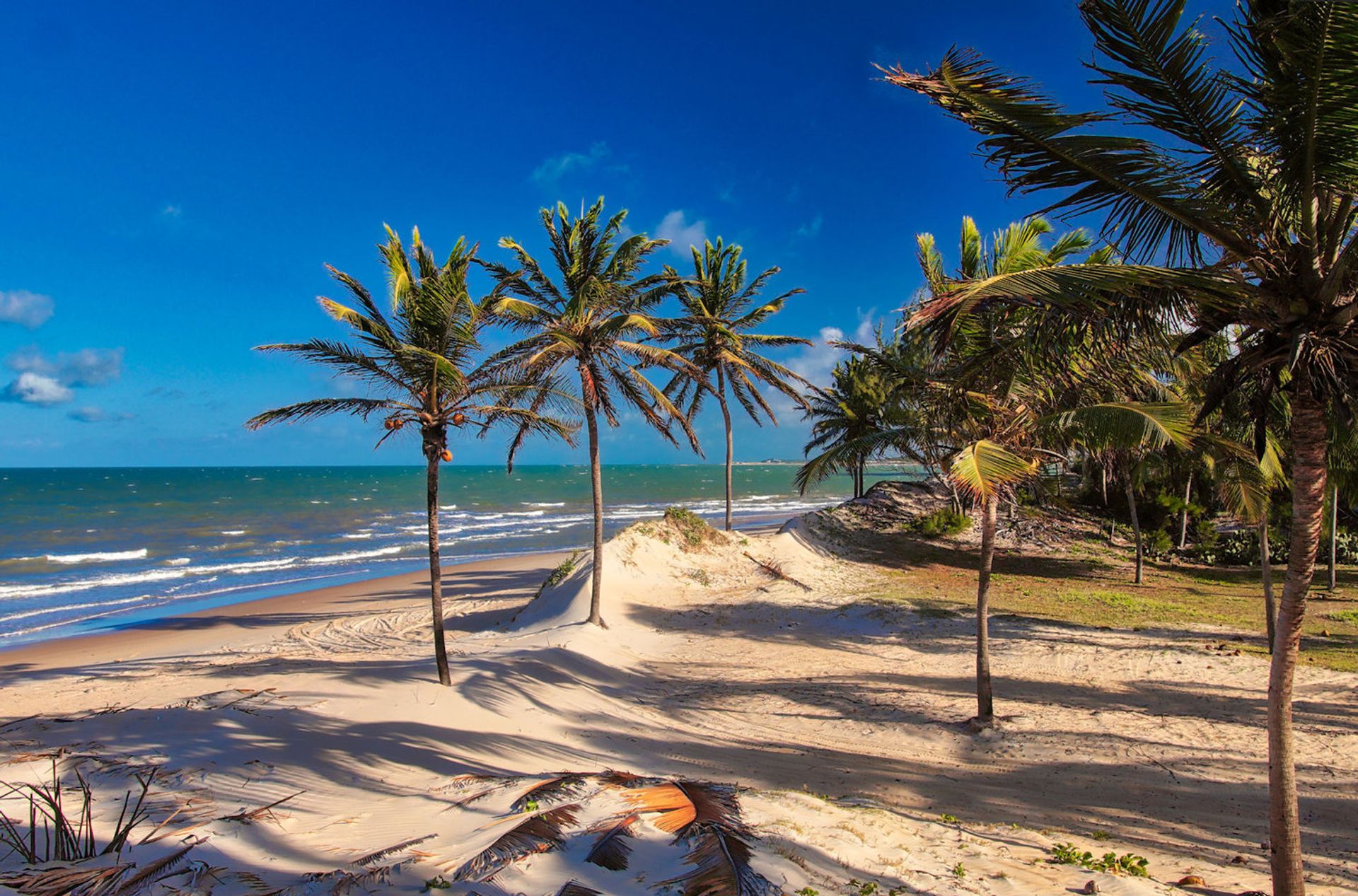 House in Pititinga, Rio Grande do Norte 11687457