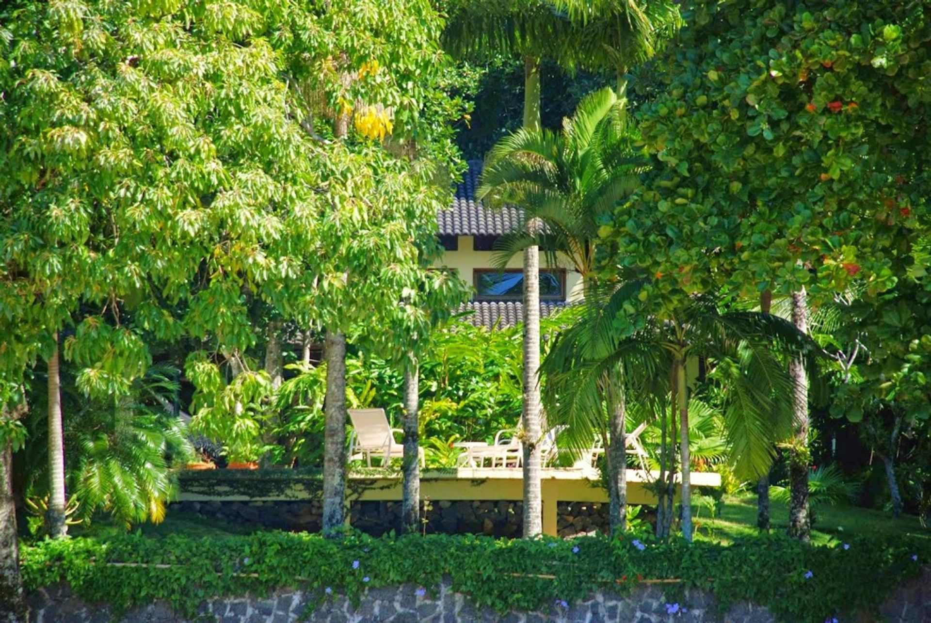 casa no Ubatuba, State of São Paulo 11687512