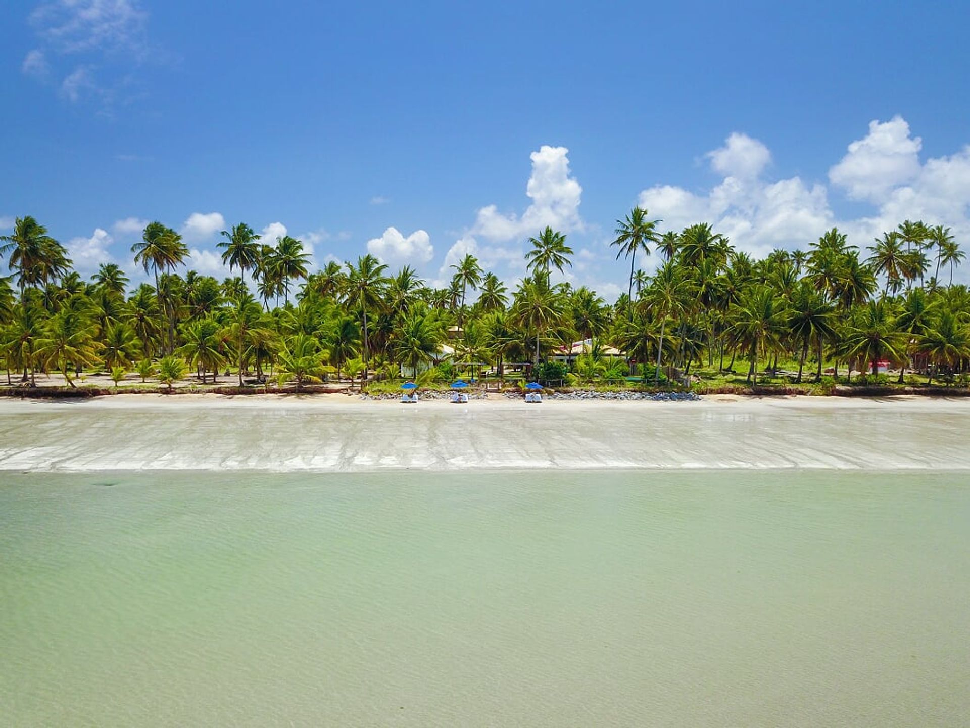 Plusieurs familles dans Maragogui, Alagoas 11687530