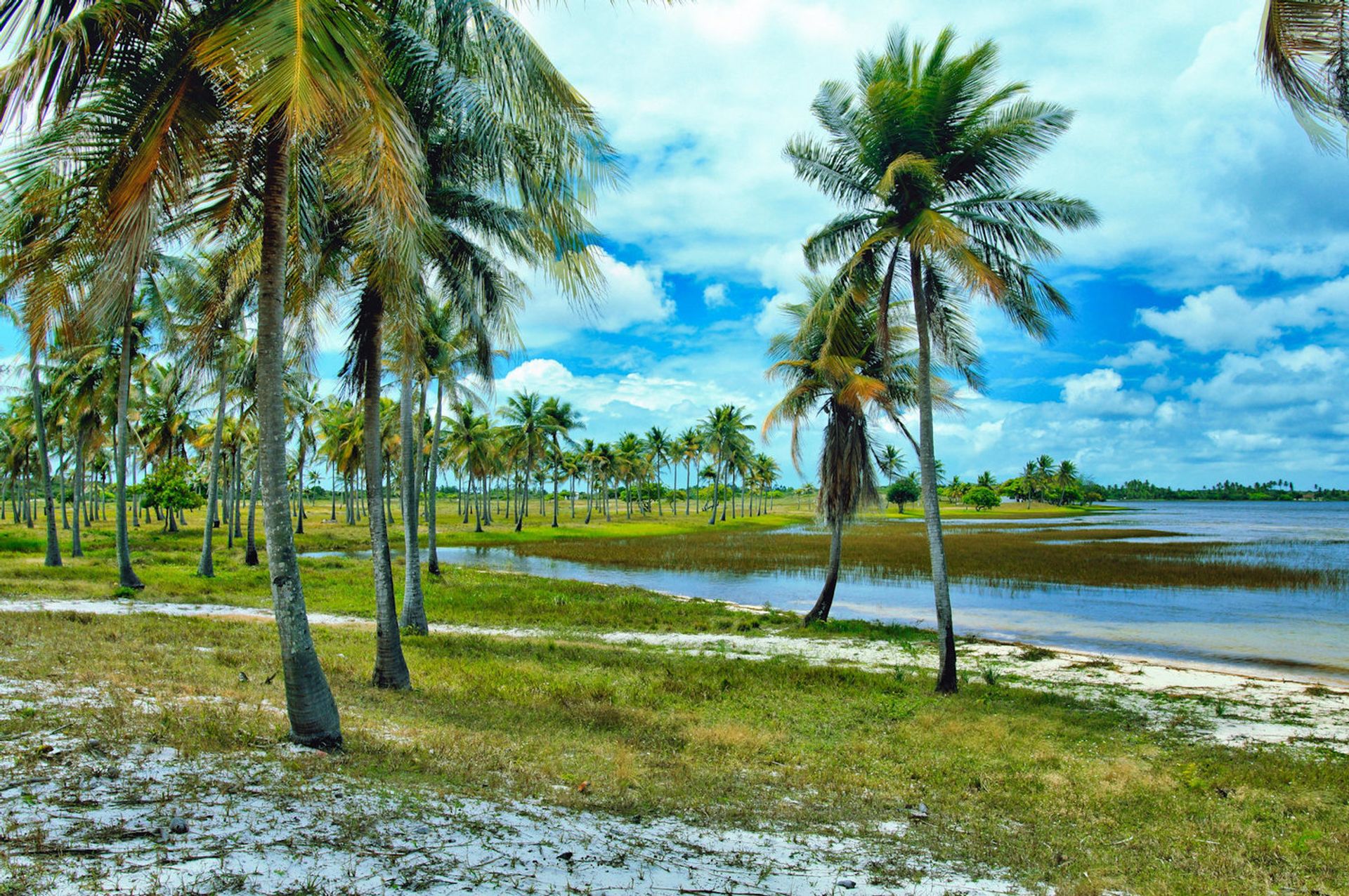 Pelbagai Keluarga dalam Pititinga, Rio Grande do Norte 11687563