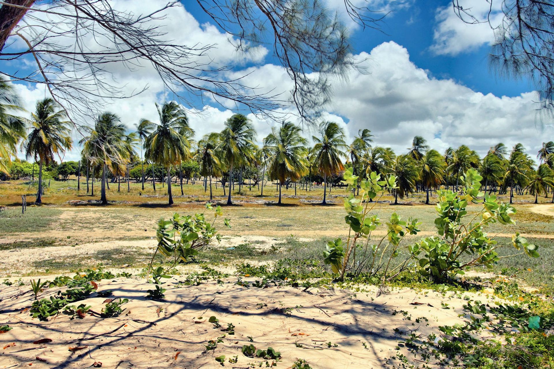 Multi Family in Pititinga, Rio Grande do Norte 11687563