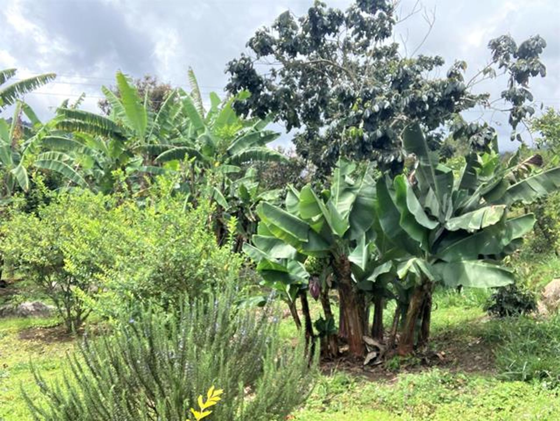 rumah dalam Chinavita, Boyaca 11687567