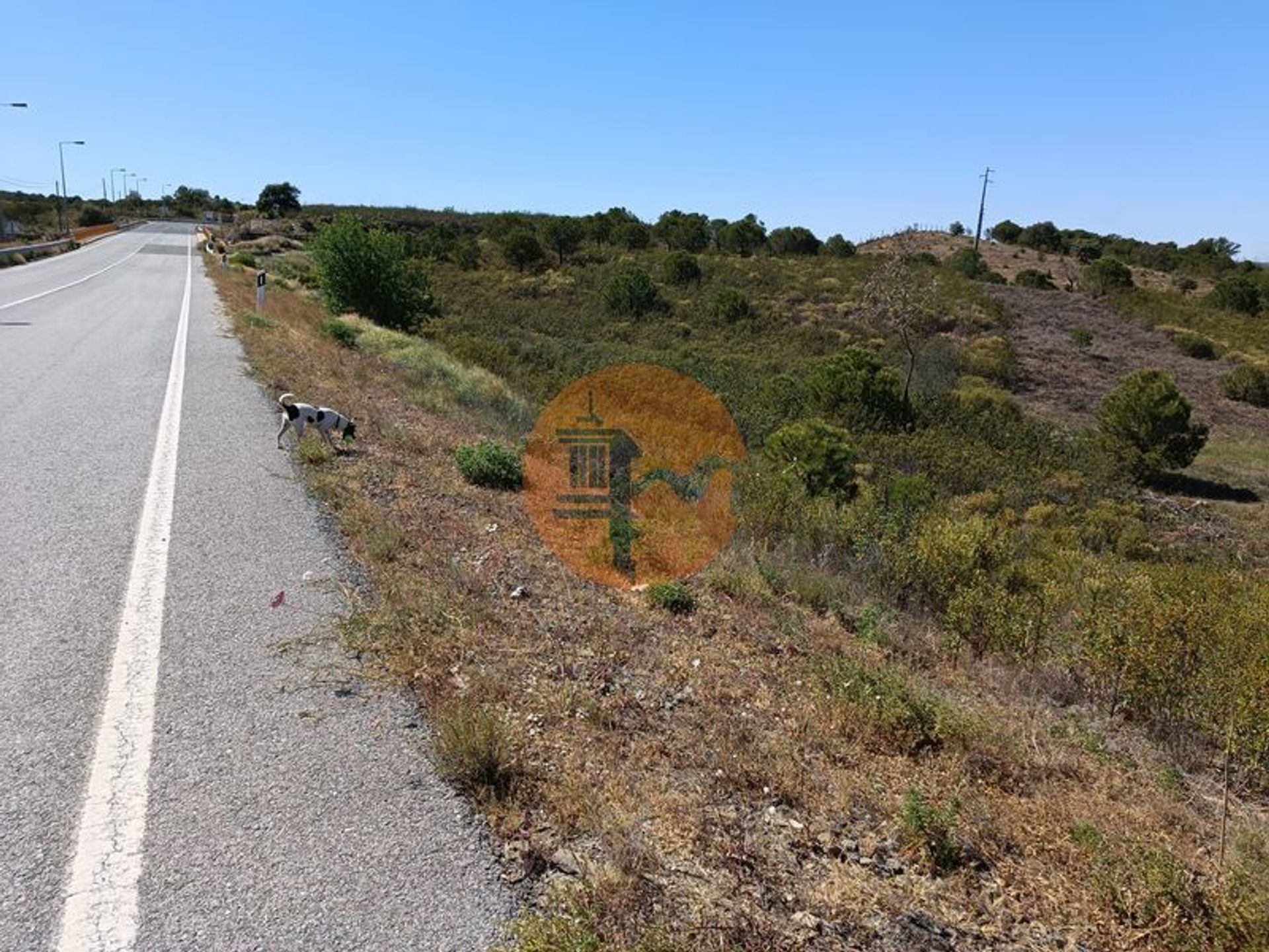 Tierra en odeleita, Faraón 11687576