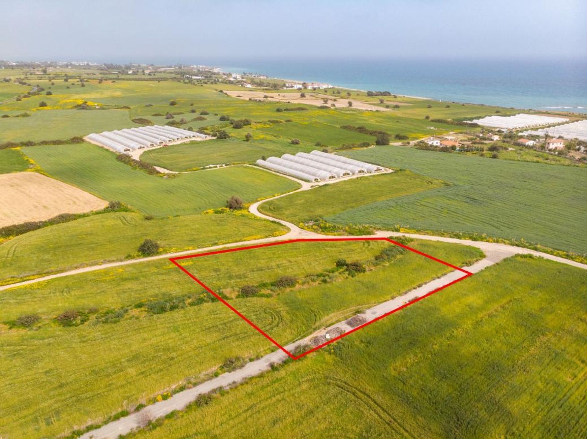 Land in Zygi, Larnaca 11688896