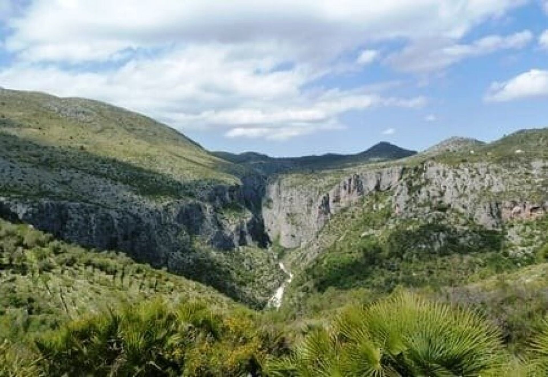 Tanah dalam Benichembla, Valencia 11691325