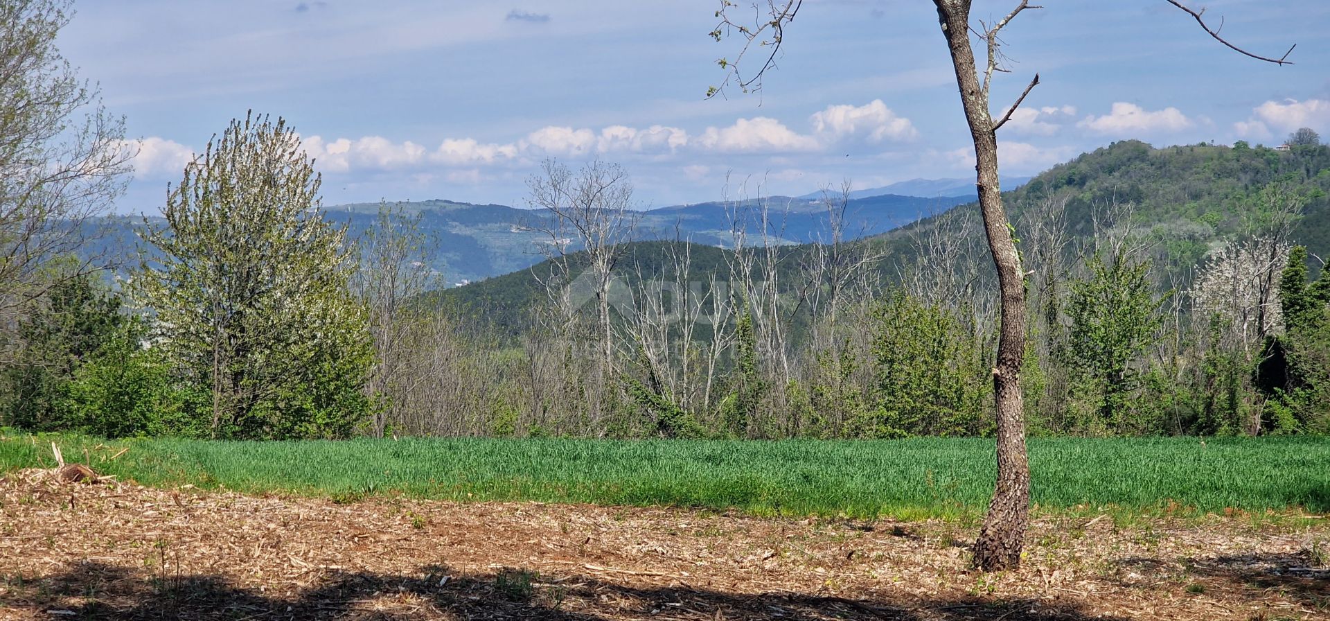 Land in Karojba, Istarska Zupanija 11692036