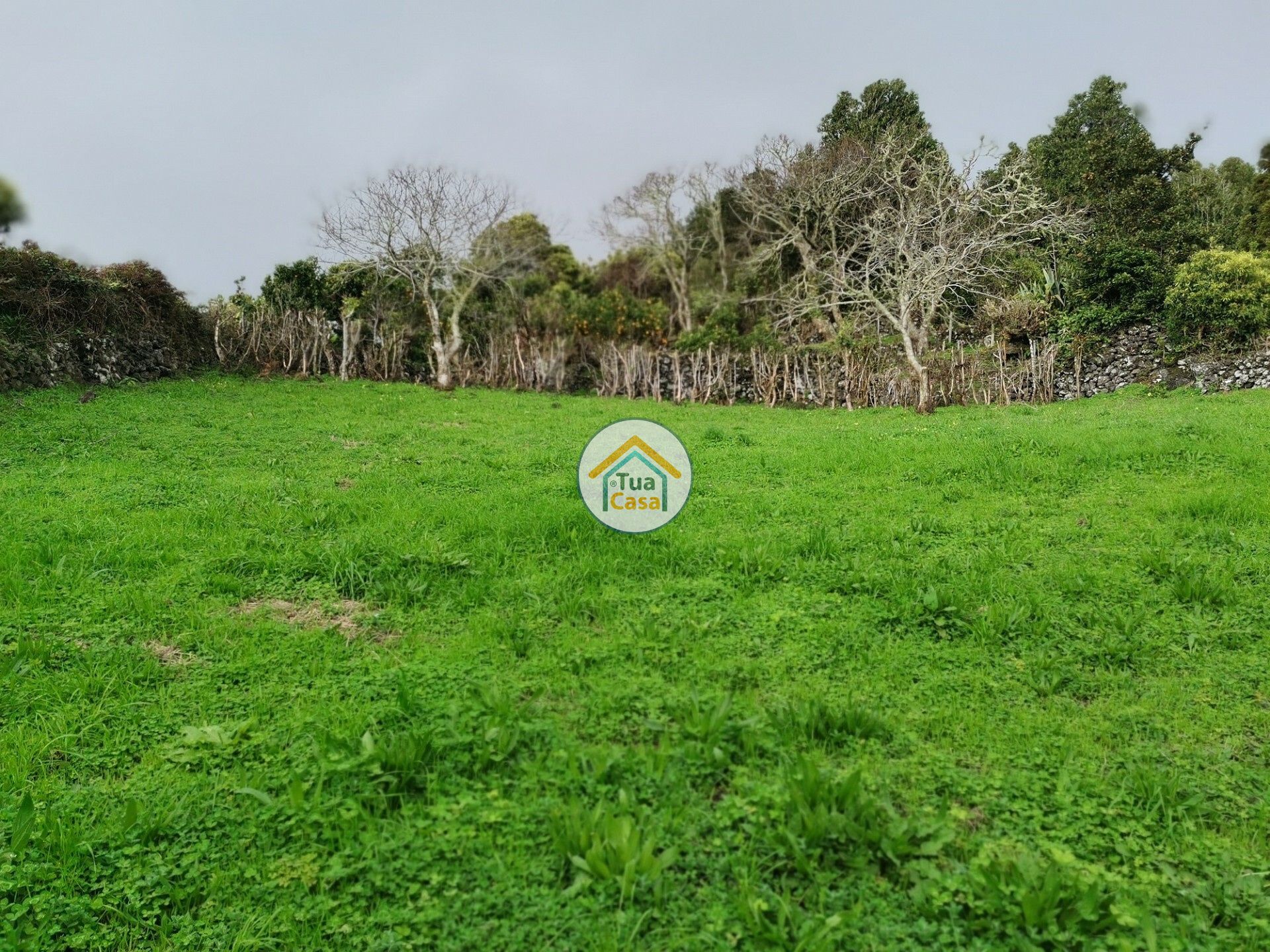 بيت في , Azores 11692041