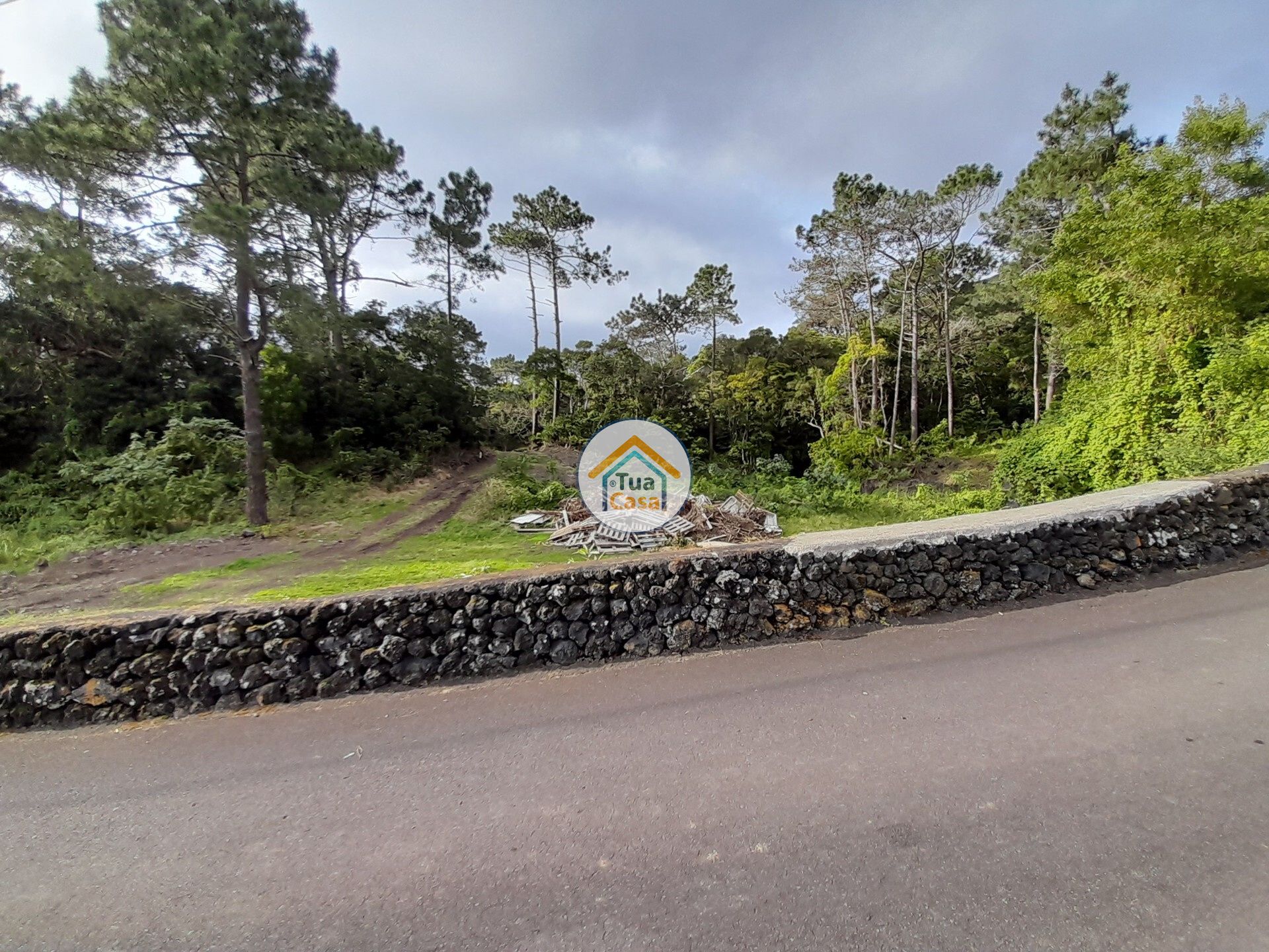 Terre dans Vélas, Açores 11692042