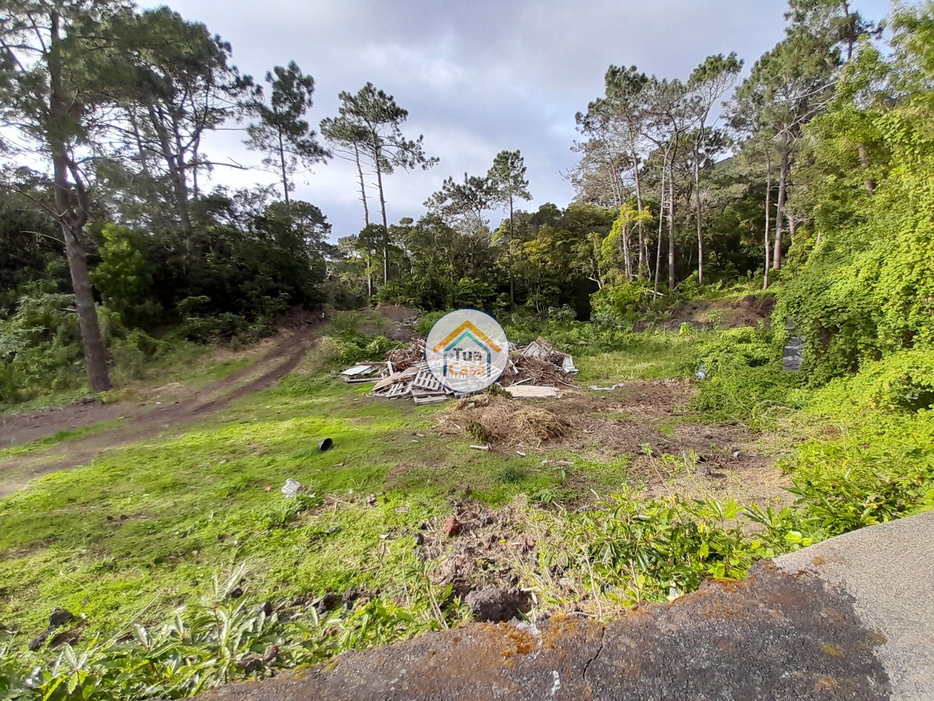 Terre dans Vélas, Açores 11692042