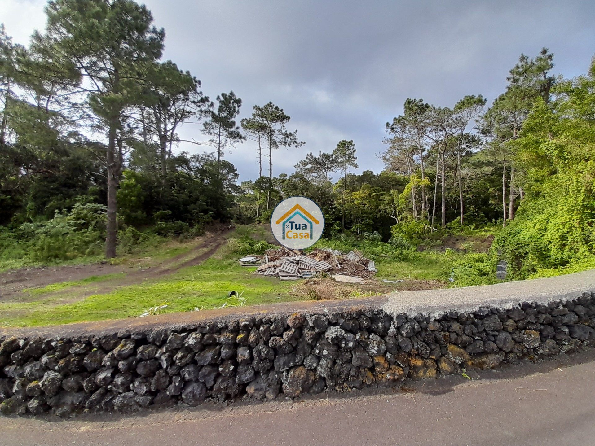 Terre dans Vélas, Açores 11692042