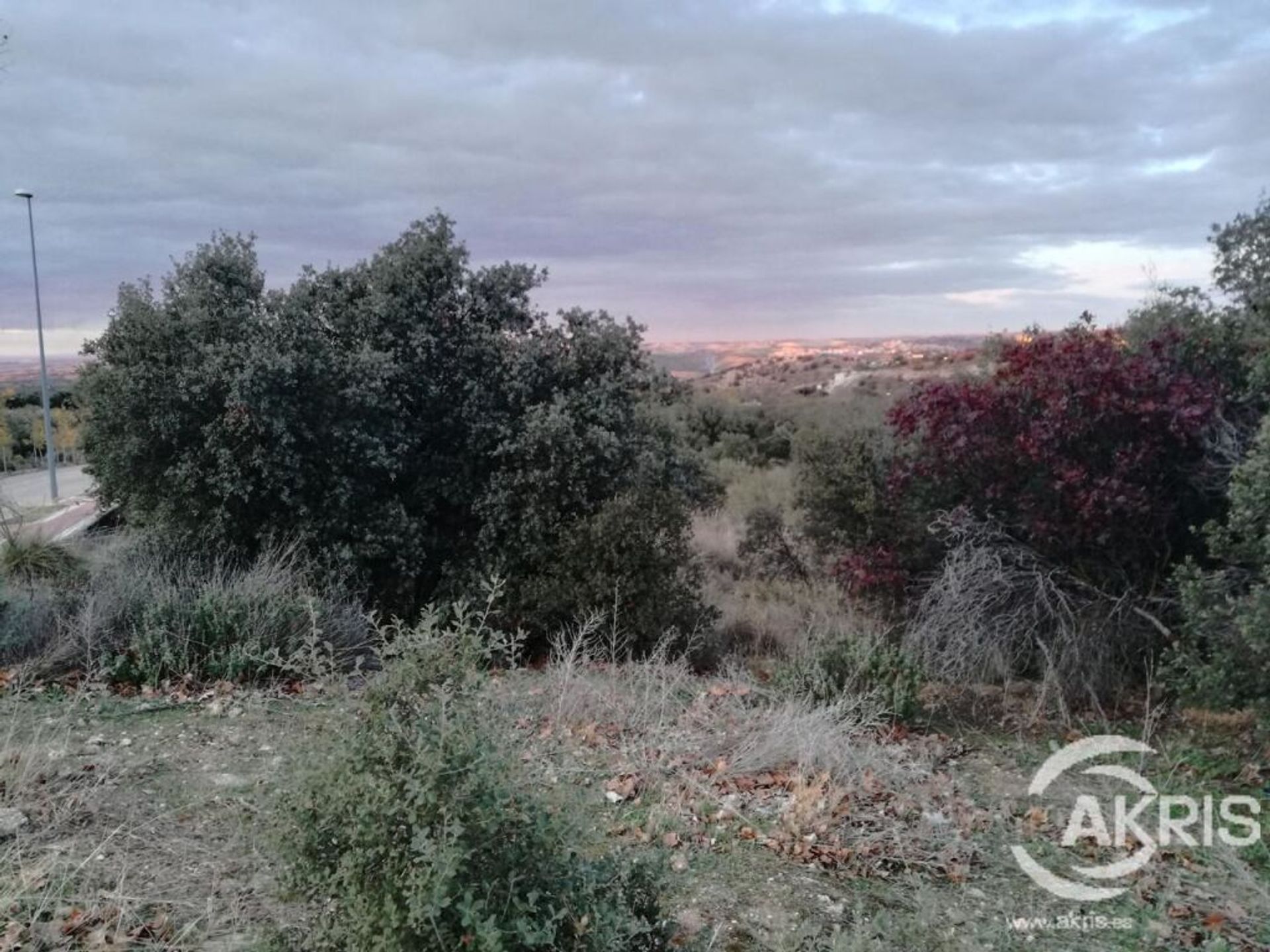 Terra no Toledo, Castilla-La Mancha 11692198